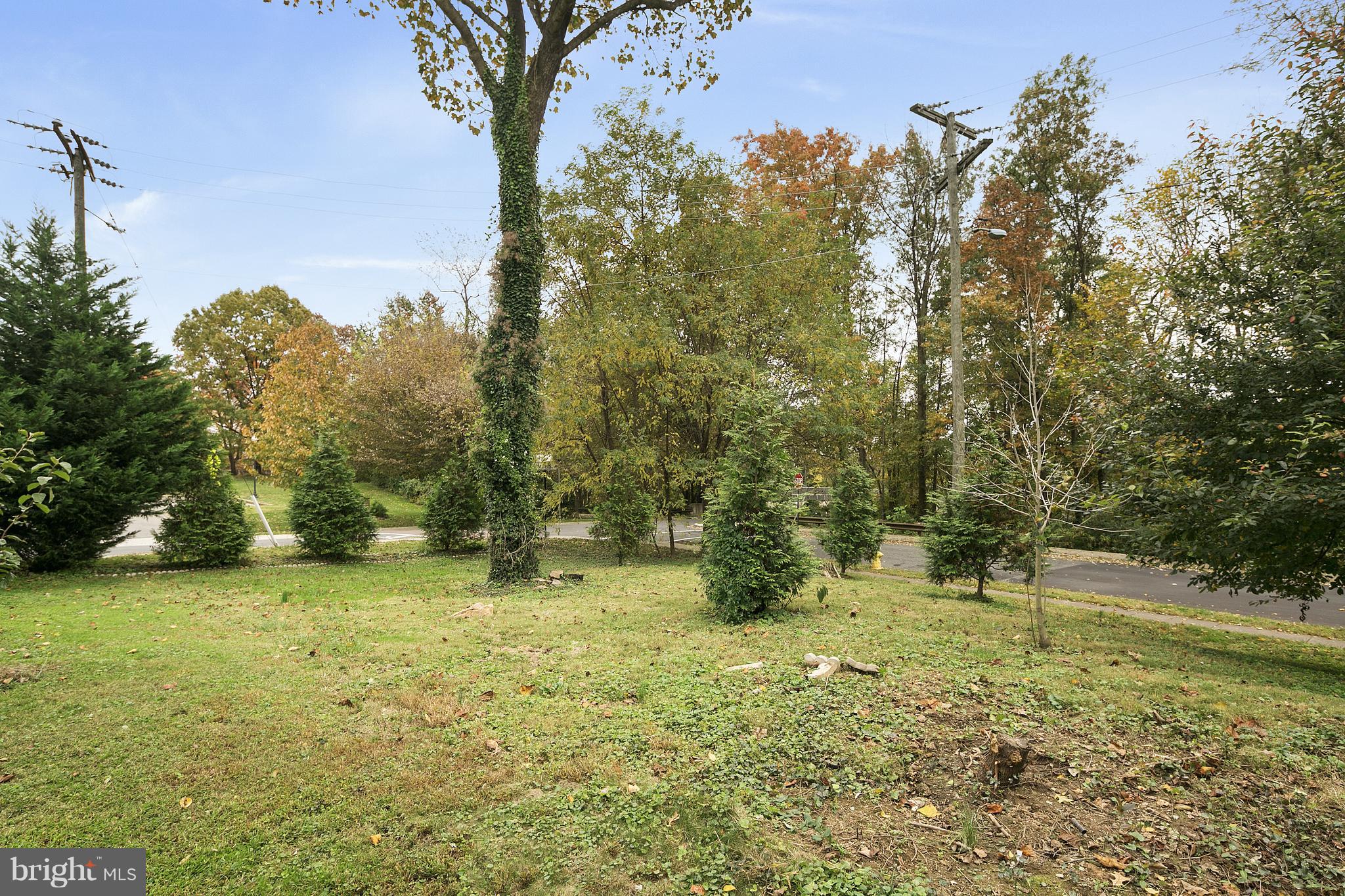 LACEY FOREST - Residential