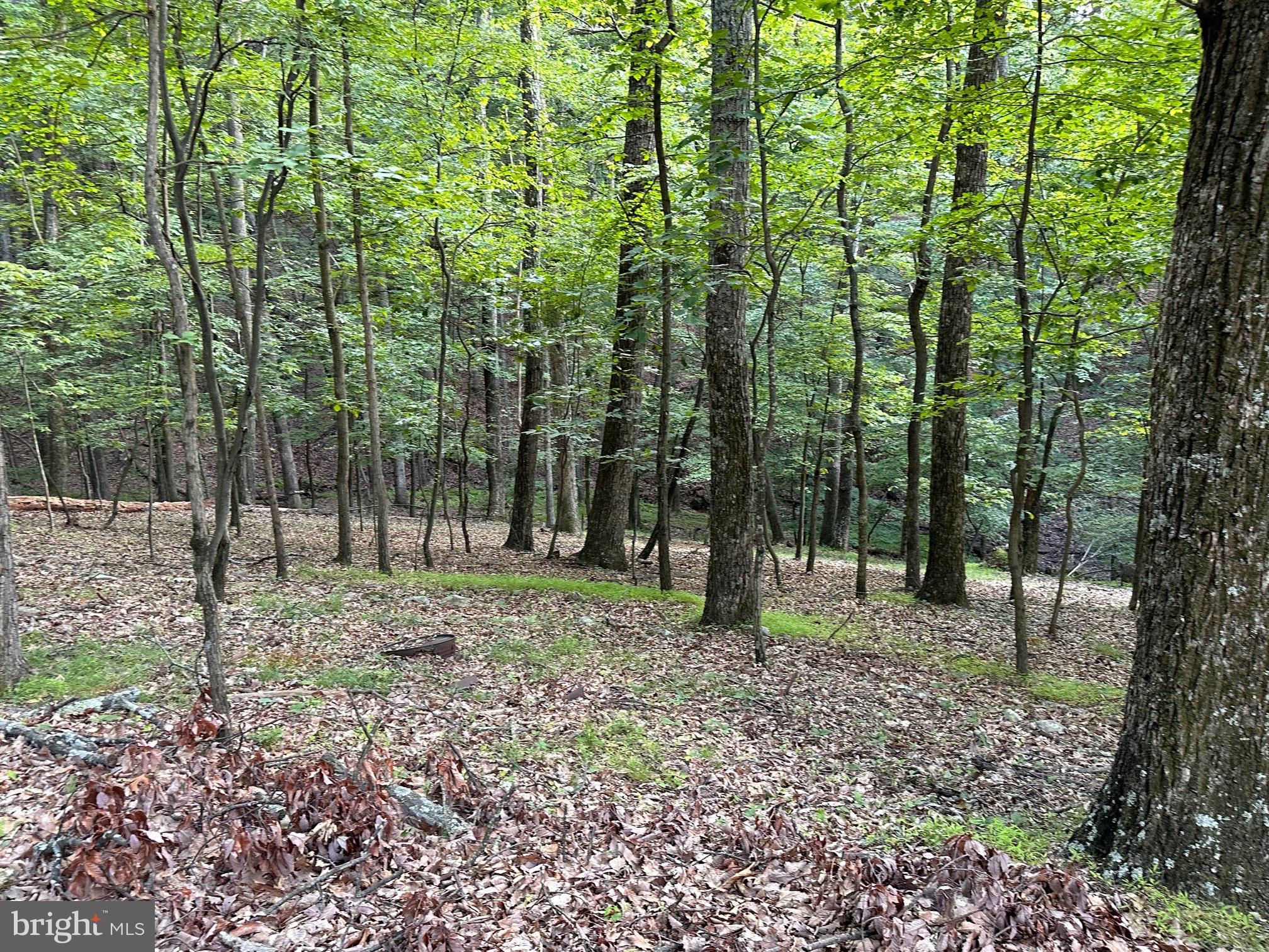 NEW HOPE ACRES - Residential