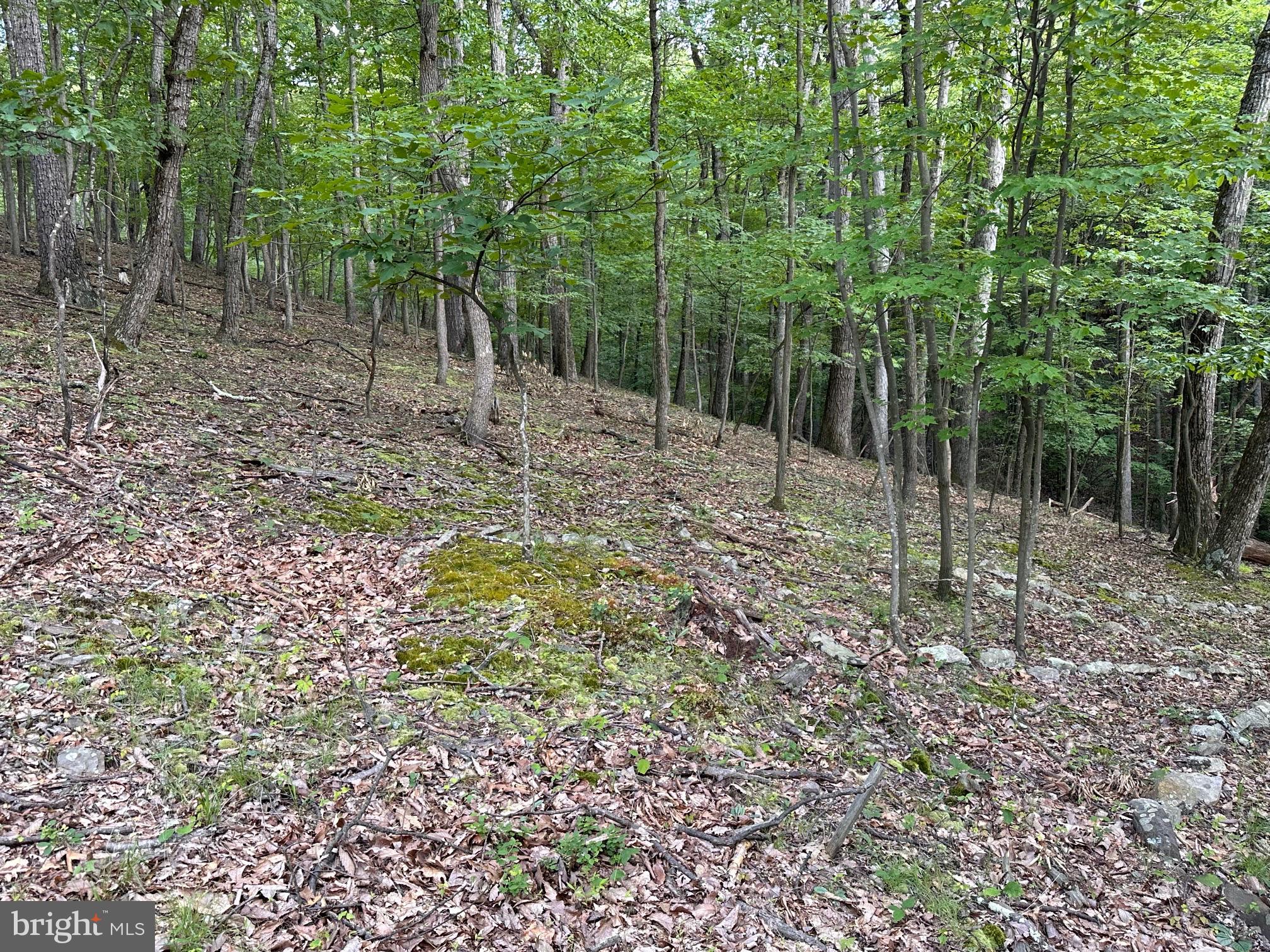 NEW HOPE ACRES - Residential