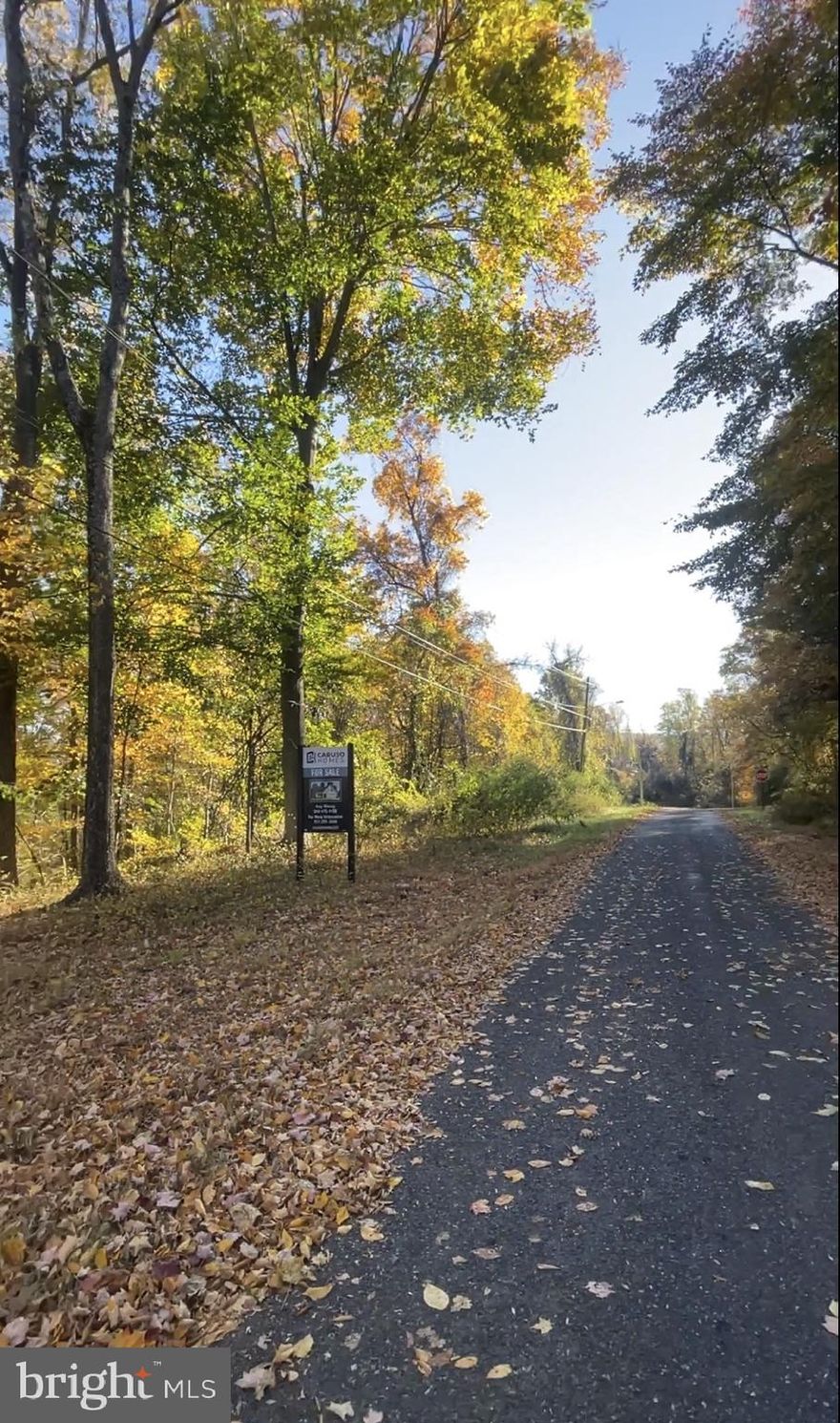 Discover the perfect opportunity to build your dream home on 1.19AC that includes 8 & 10 Fir Trail in Fairfield—nestled in the scenic Carroll Valley area. These lots include one completed perc and soil testing, saving you time and money as you plan your future home.

Tucked away near a quiet cul-de-sac, this location provides the ideal balance of privacy and serenity. Enjoy peaceful surroundings with abundant wildlife, natural beauty, and paved road access in an established community.

Outdoor enthusiasts will appreciate being just minutes from Liberty Mountain Resort, which offers year-round recreation, including skiing, snowboarding, golf, and more. Whether you're looking for a weekend retreat or a full-time residence, this area is known for its relaxed lifestyle and outdoor appeal.

You’ll also appreciate the charm of the local community, including a cozy nearby coffee shop and the small-town feel, all while being just a short drive to Gettysburg for history, dining, and shopping. Commuters will find easy access to Maryland, with approximately 25–30 miles to Frederick and Hagerstown.

If you’re looking for a location that offers peaceful living without sacrificing convenience, these lots are a rare find in this up-and-coming area!