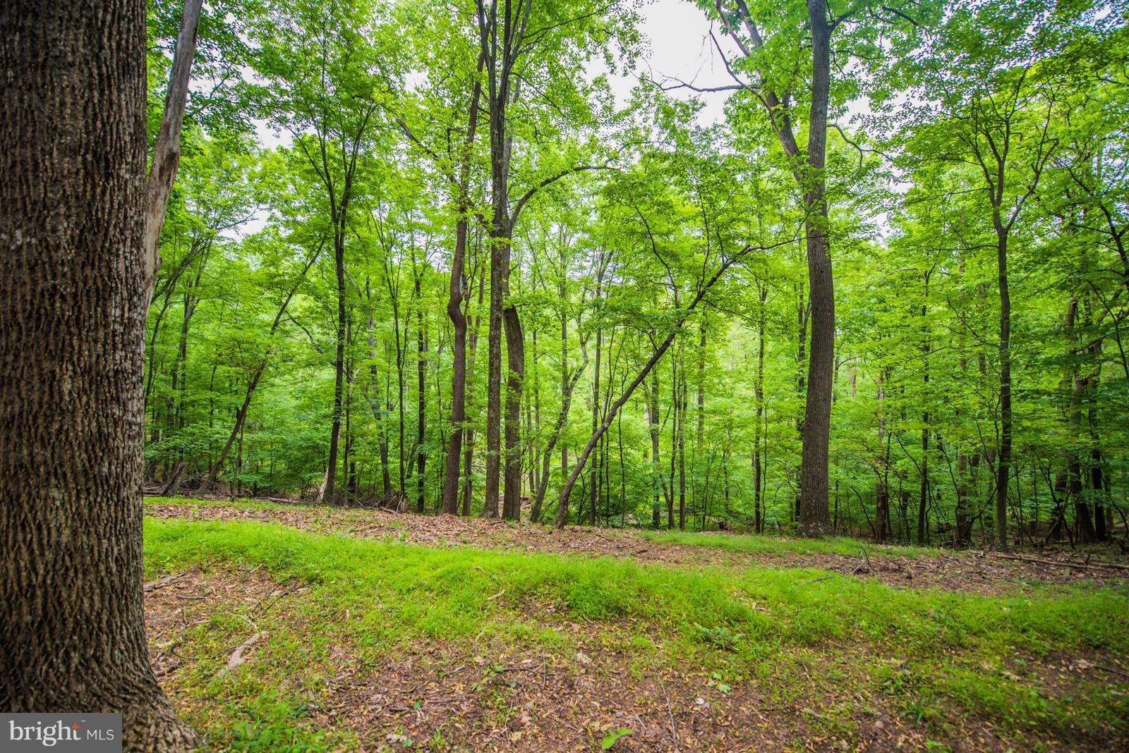 THE WOODS - Residential