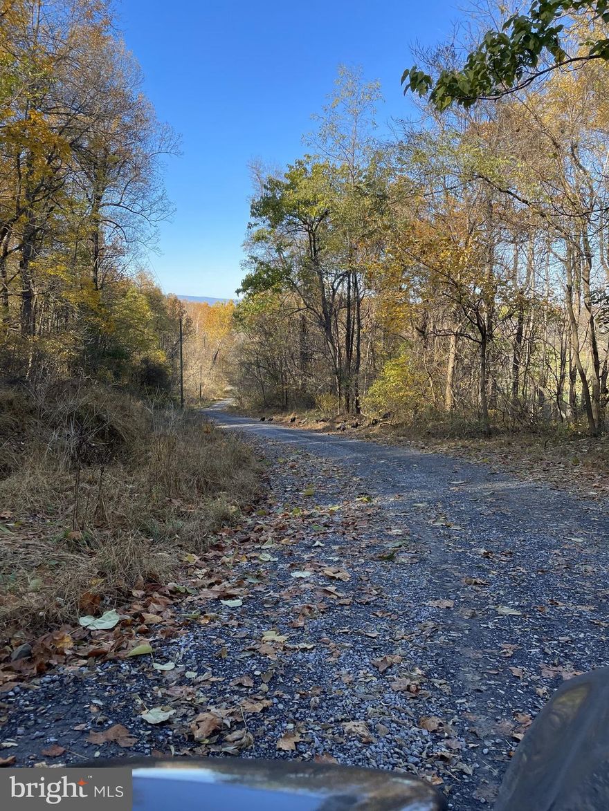 Don't lose the opportunity to own the lowest price for 20 acres near metro DC.  Great commuter or getaway location! Located in a gated community less than 5 minutes from Interstate 66 Linden Exit. less than 1 hour from Northern Virginia and the DC area. Mostly wooded this property offers considerable privacy unmatched by its beauty and serenity while providing accessibility to Front Royal and I66. Closed to Shenodoan National Park, and minutes away to Front Royal City, This lot is curved along the community drive, with some flats and slopes terrain suitable for building your Mansion with a view, privacy, and more other features of your dream house! Some new houses are being constructed in this community.  Great views! Very safe, The community gate is locked and accessed by code! Call first!