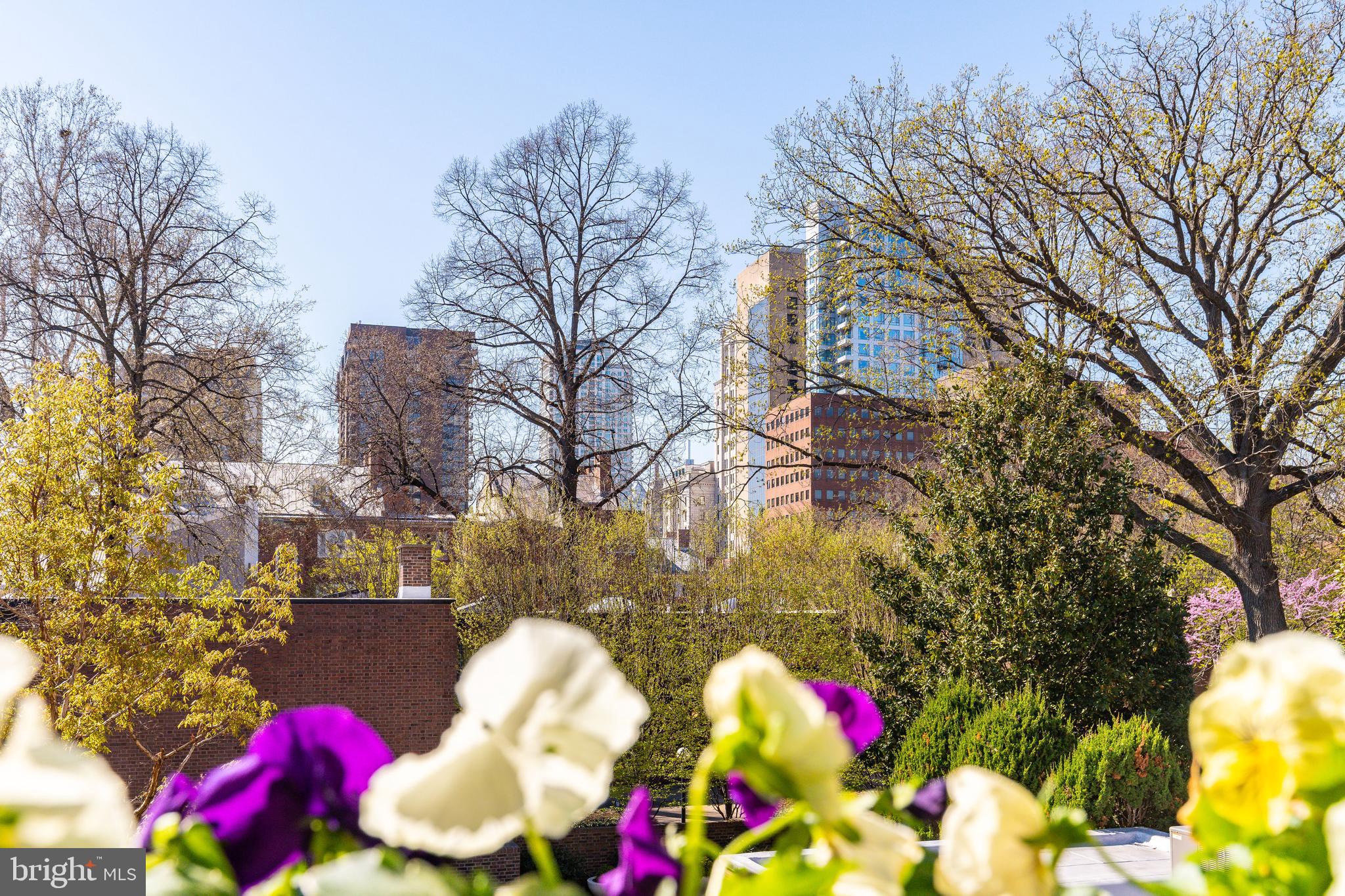 SOCIETY HILL - Residential