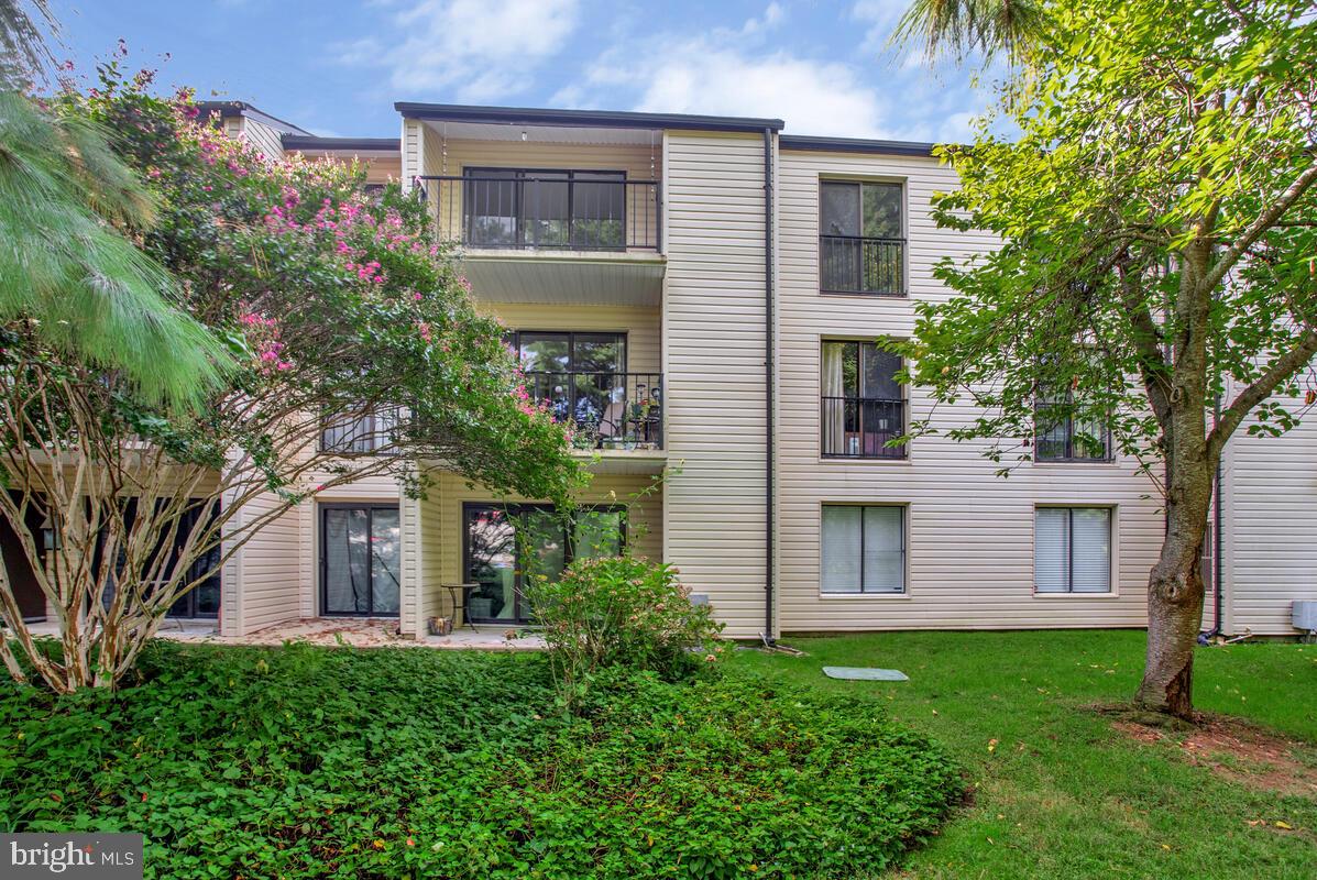 RIVA COMMONS - Residential Lease