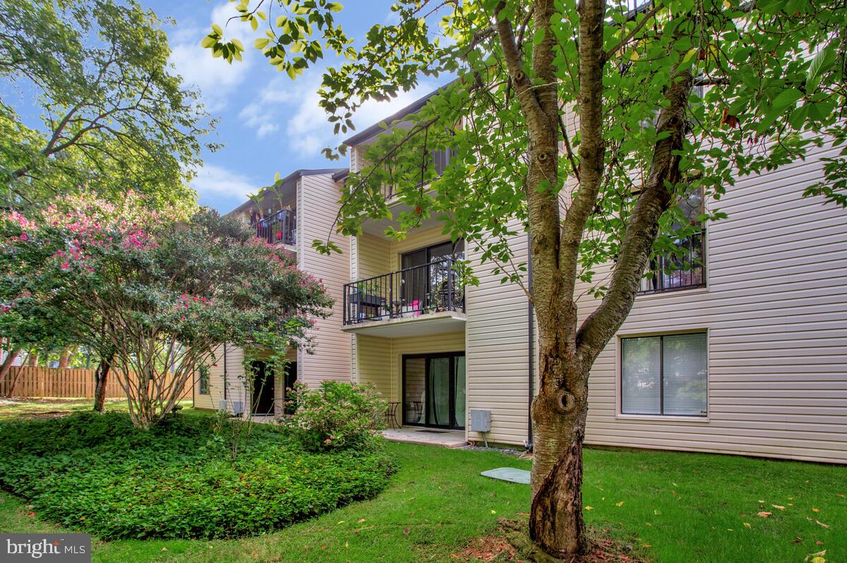 RIVA COMMONS - Residential Lease