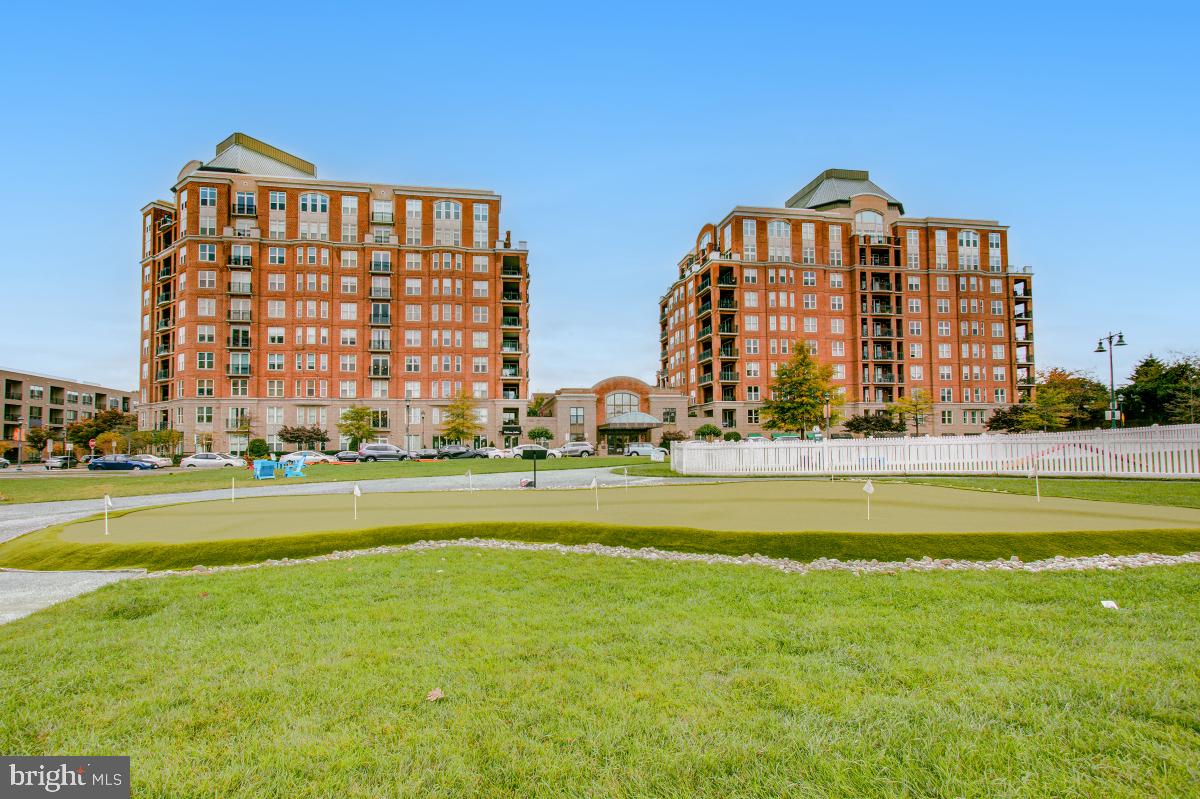 12500 PARK POTOMAC AVENUE 709