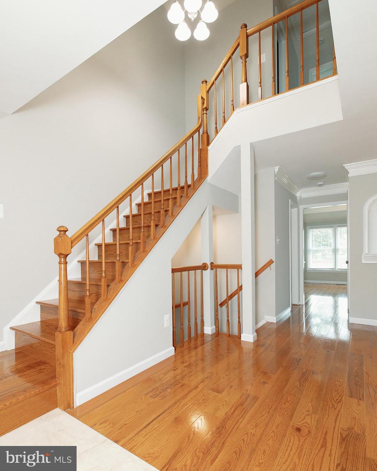5244 STONEY BRANCH COURT