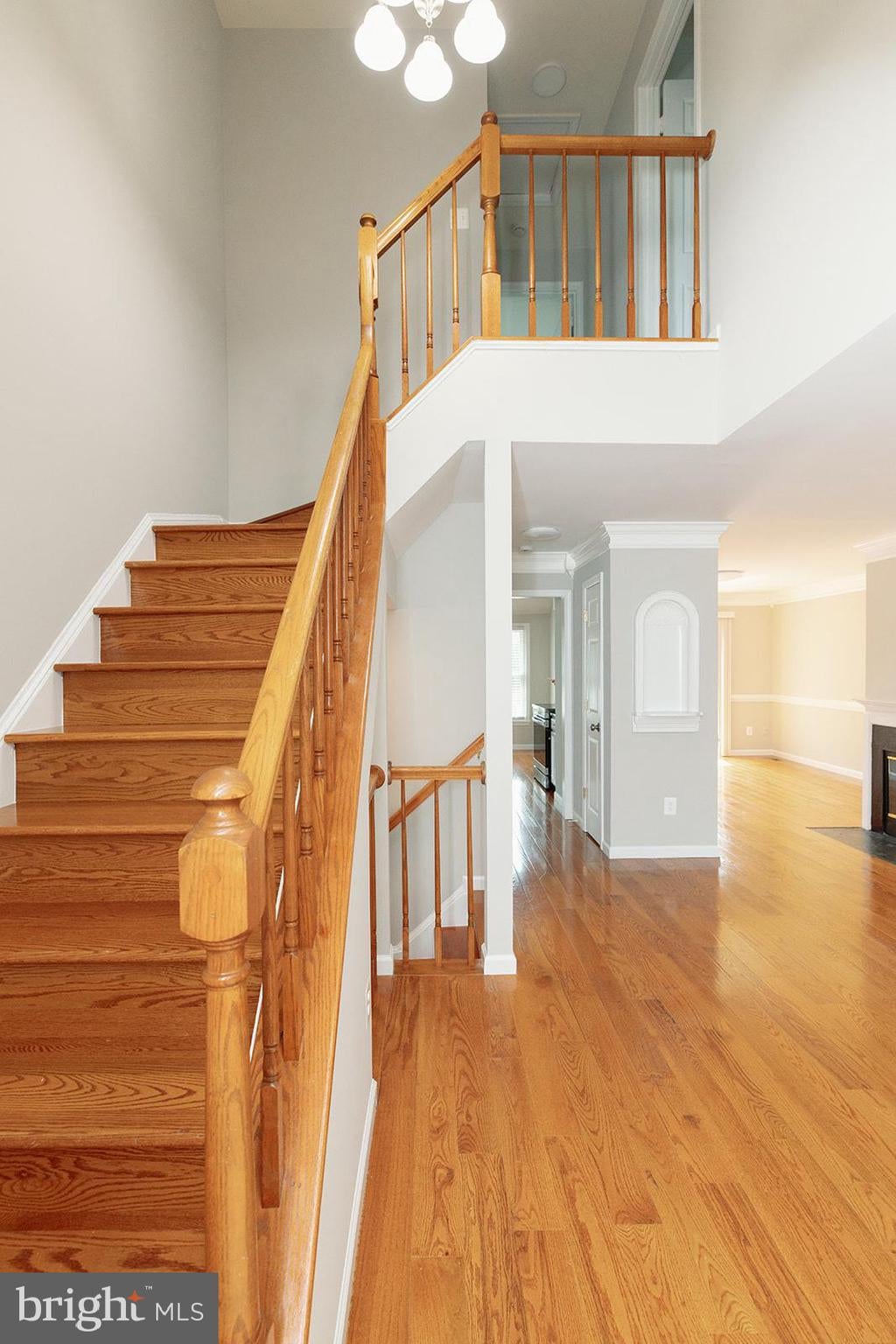 5244 STONEY BRANCH COURT
