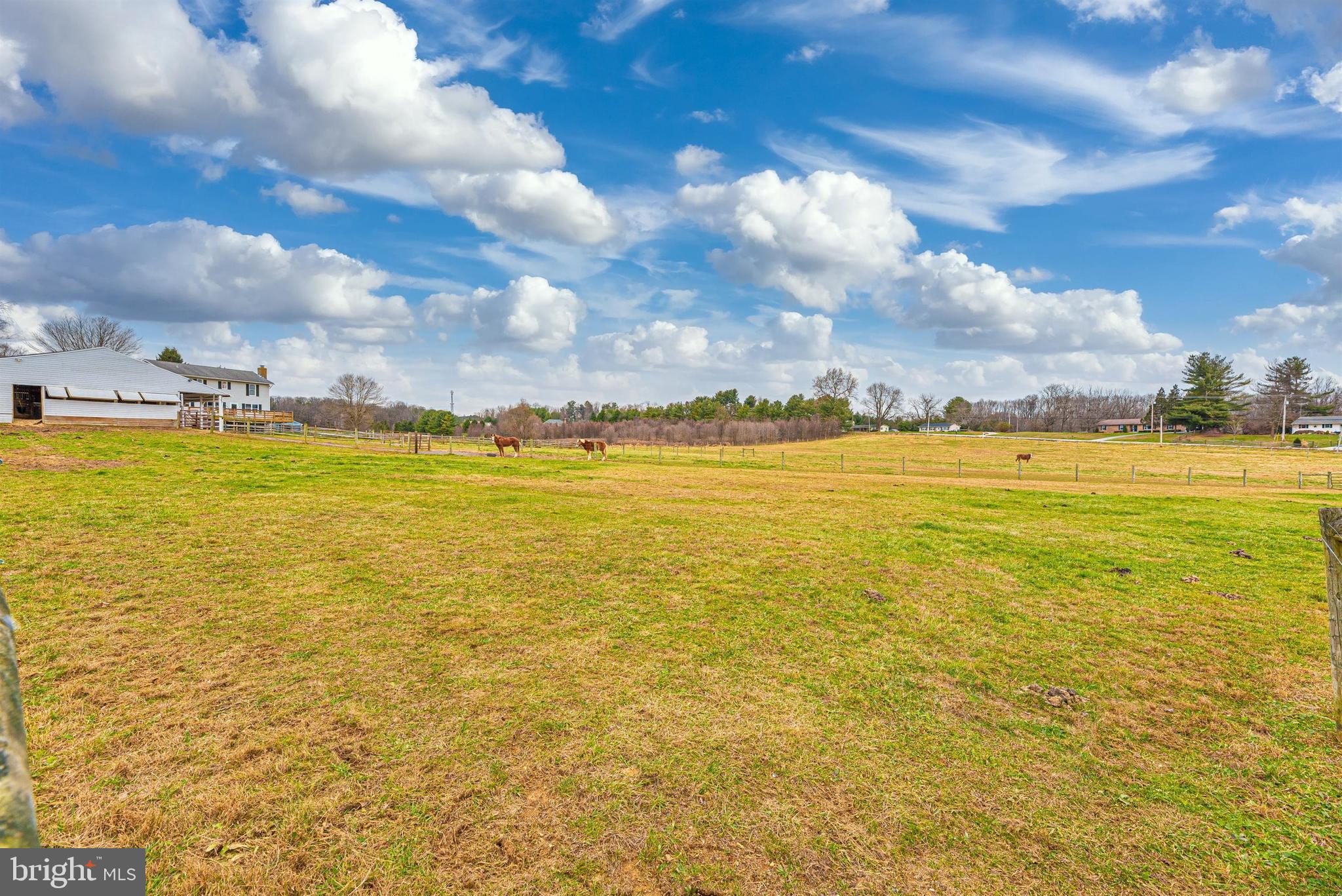 NONE AVAILABLE - Farm