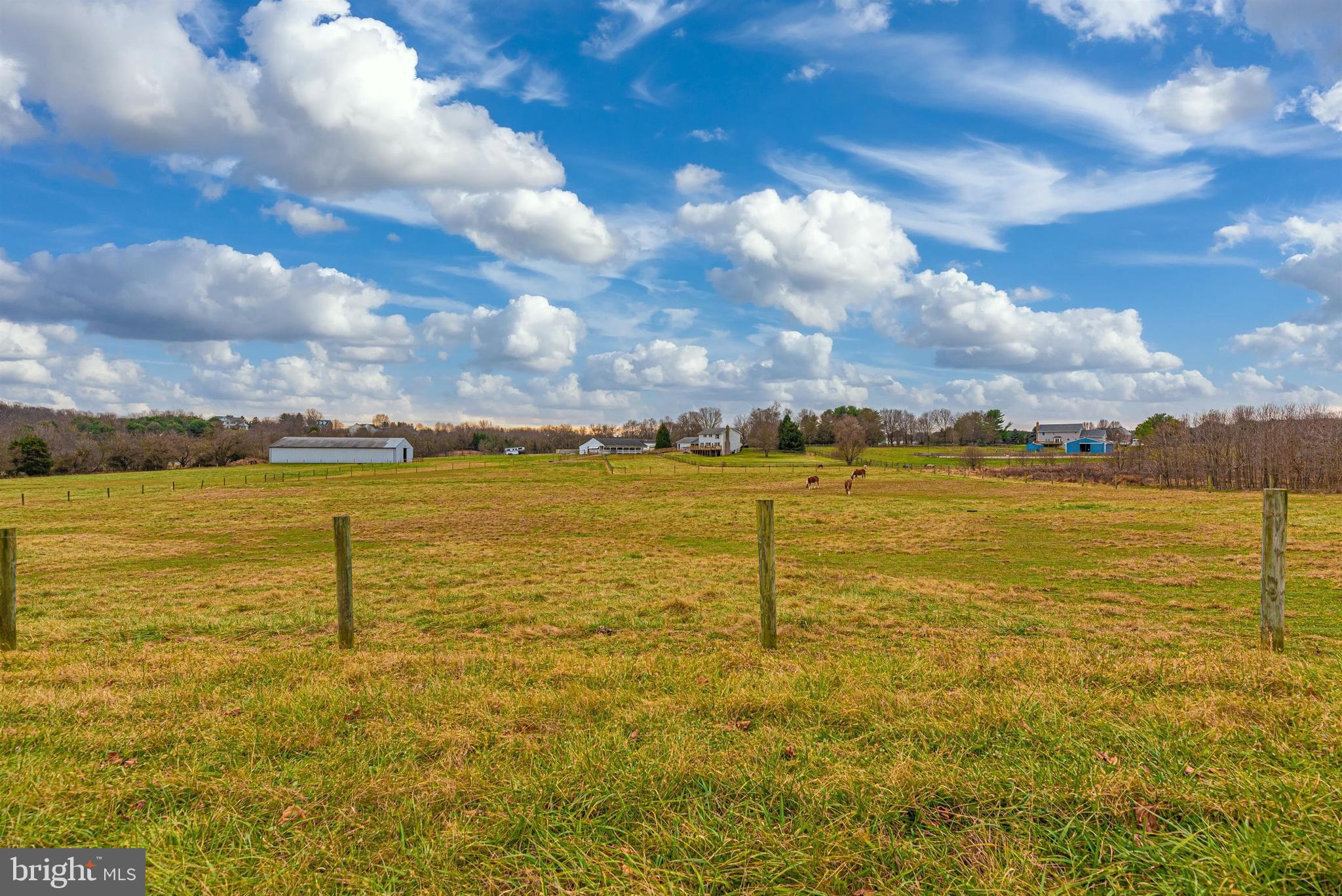 NONE AVAILABLE - Farm