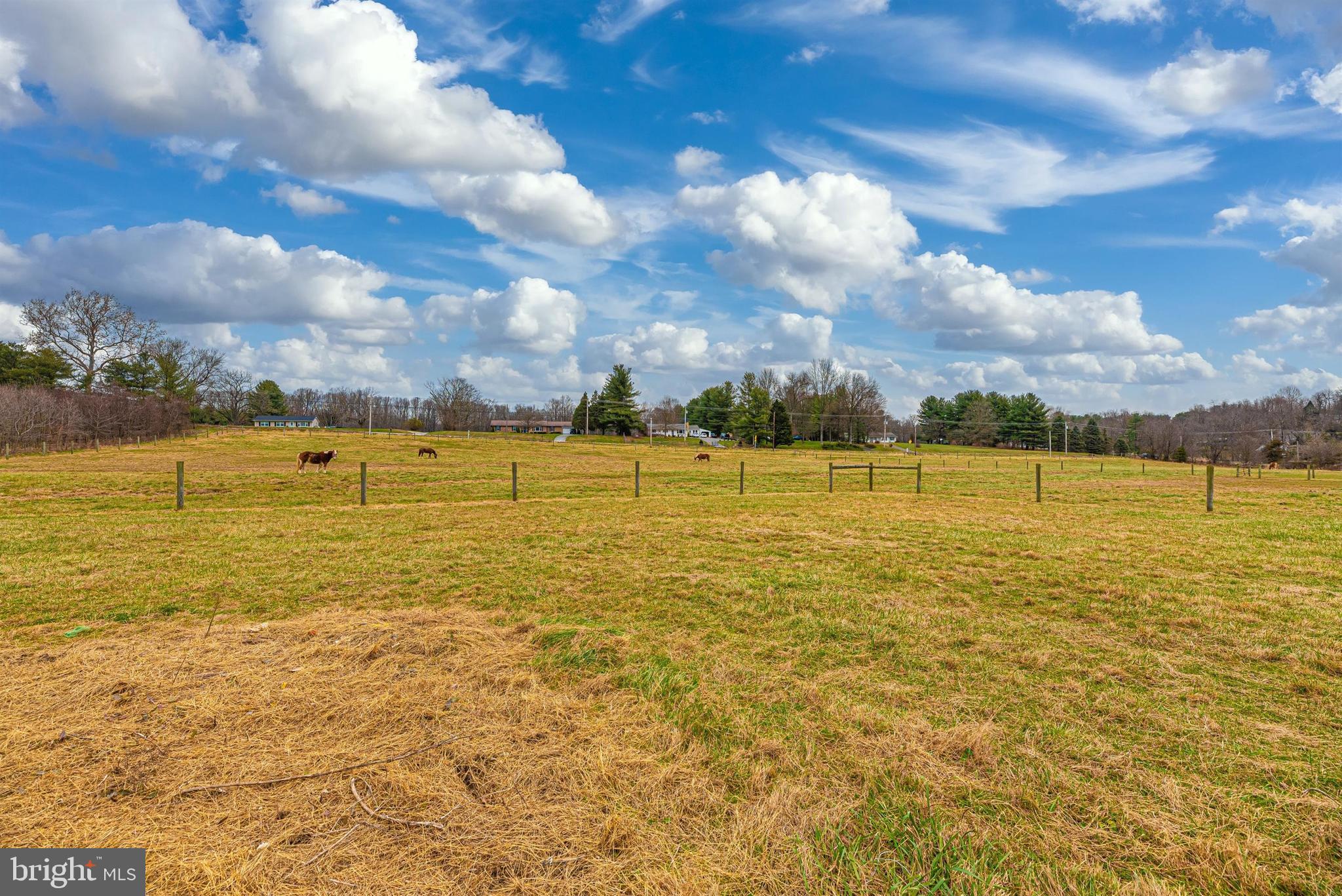 NONE AVAILABLE - Farm