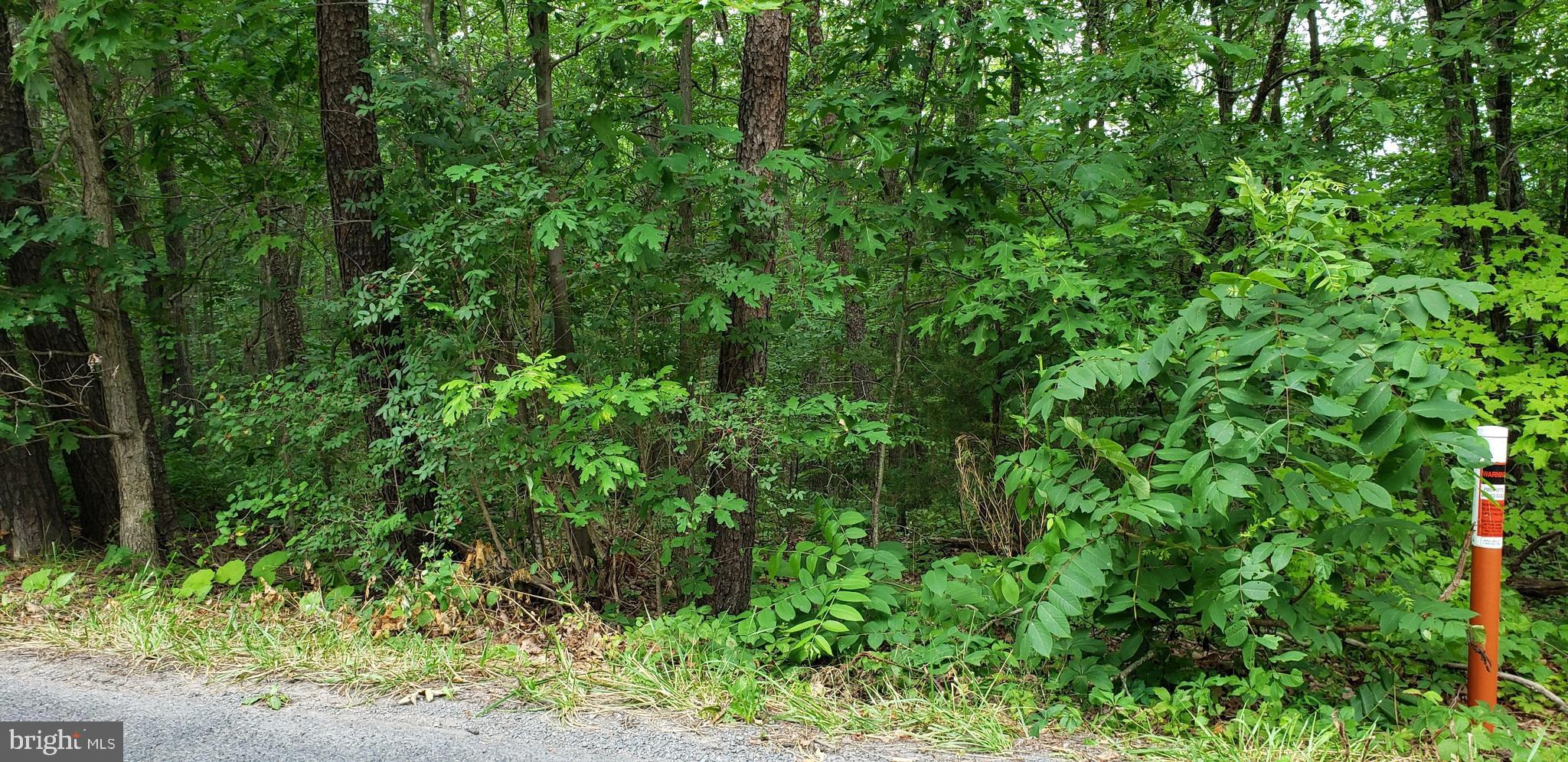 BRYCE  MOUNTAIN  RESORT - Land