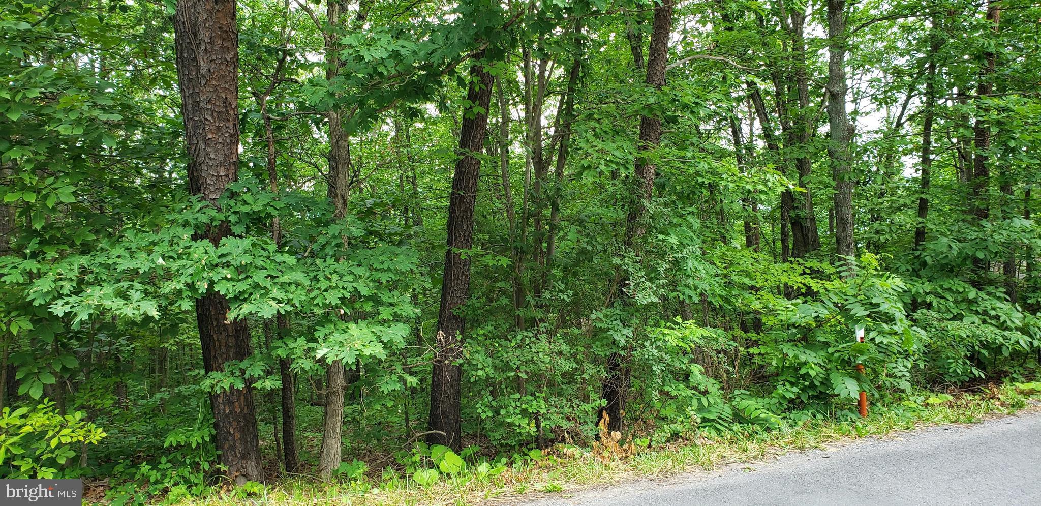 BRYCE  MOUNTAIN  RESORT - Land