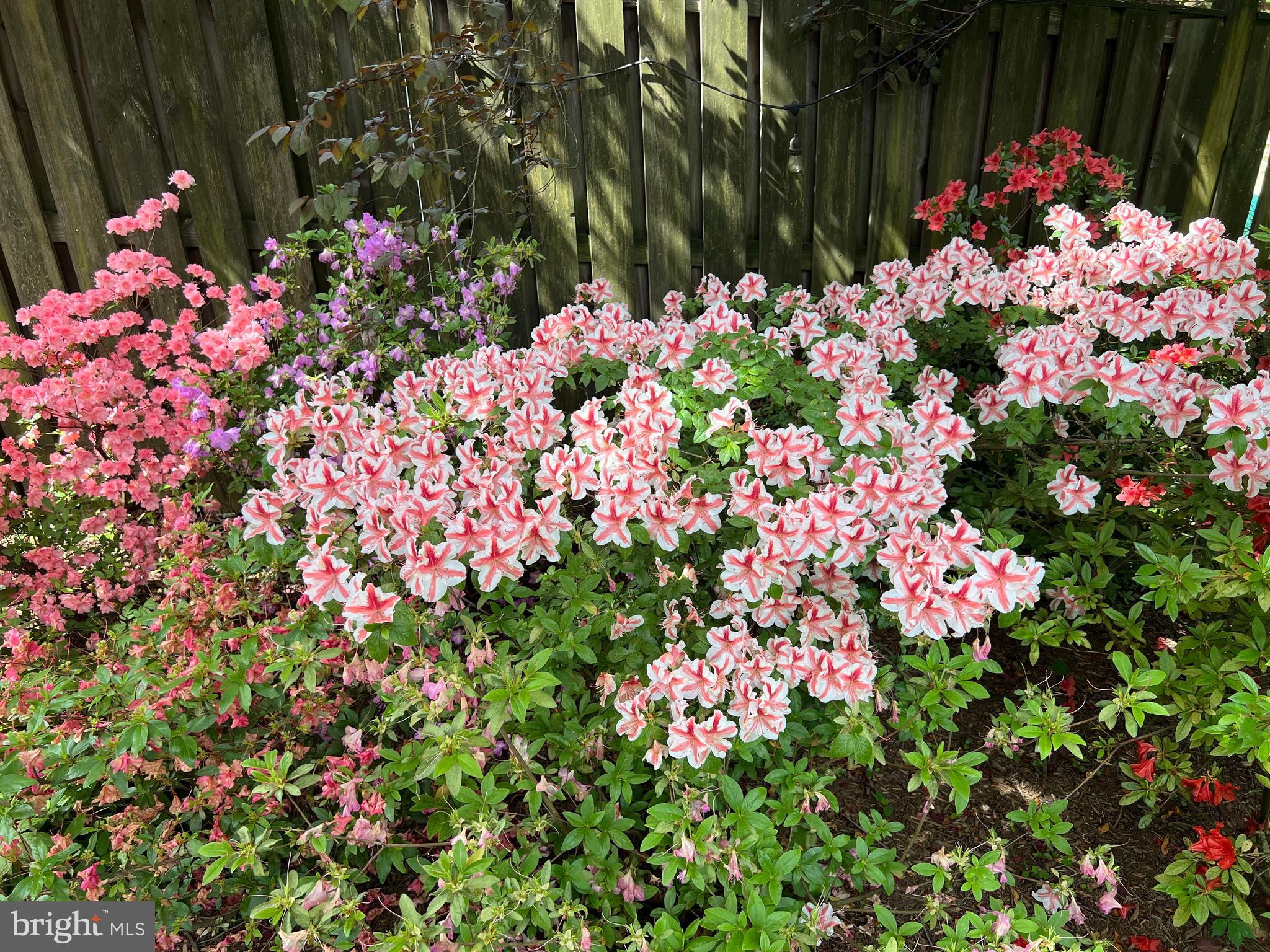 FORT SUMNER - Residential