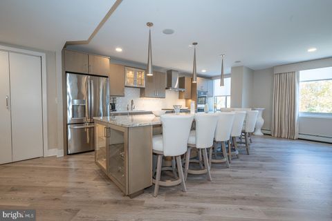 191 PRESIDENTIAL BOULEVARD R-316 BALA CYNWYD PA 19004