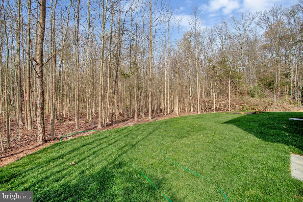 CHESAPEAKE RANCH ESTATES - Residential