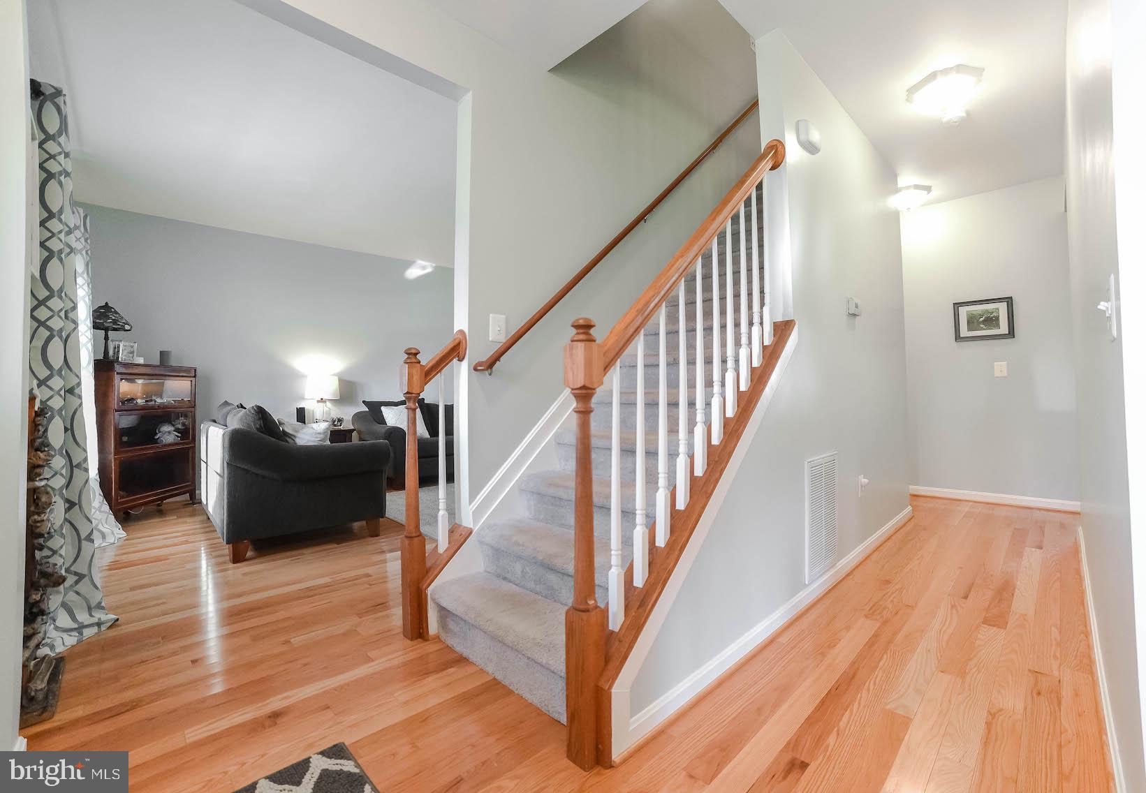 COBB ISLAND - Residential