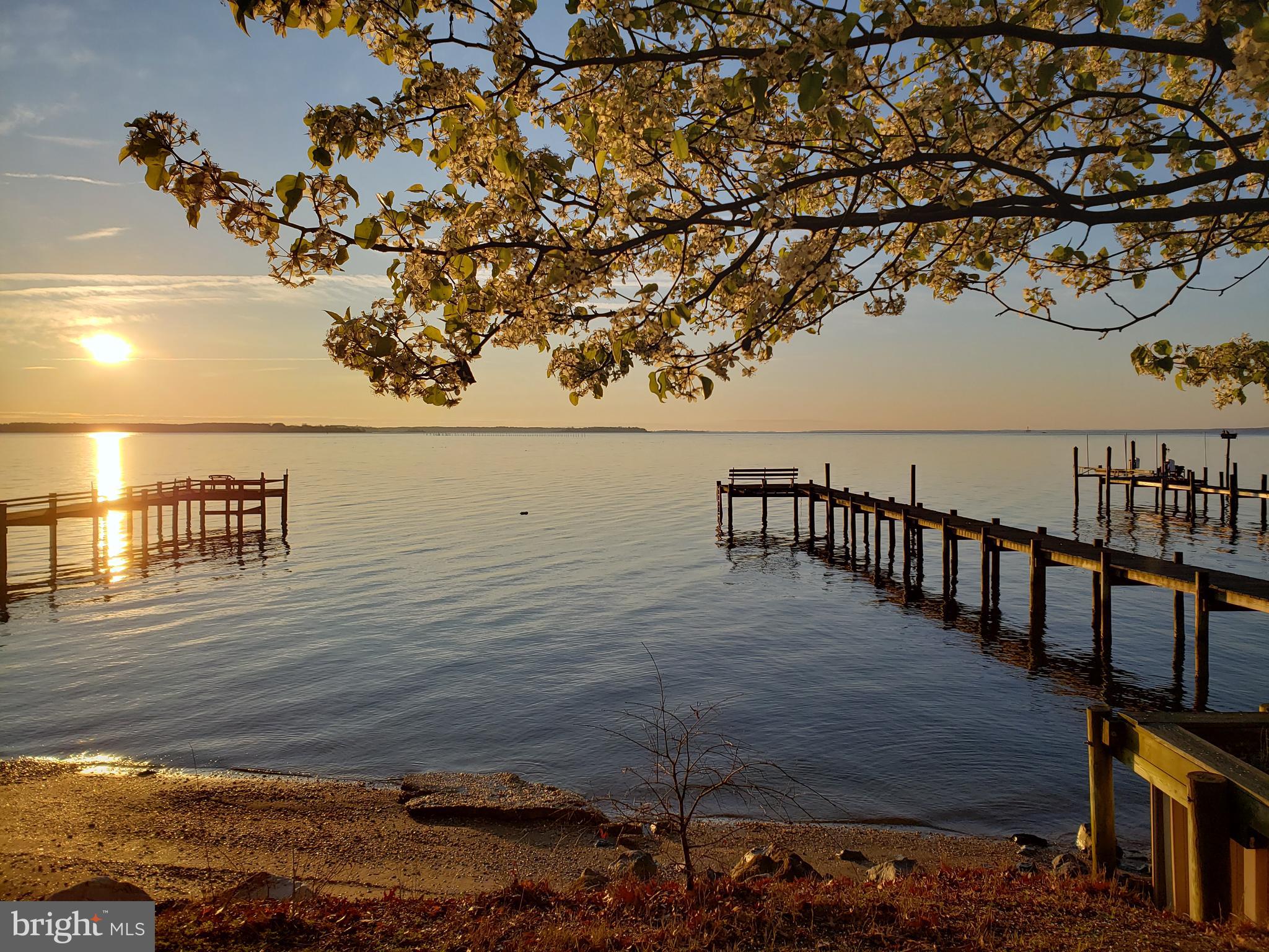 COBB ISLAND - Residential