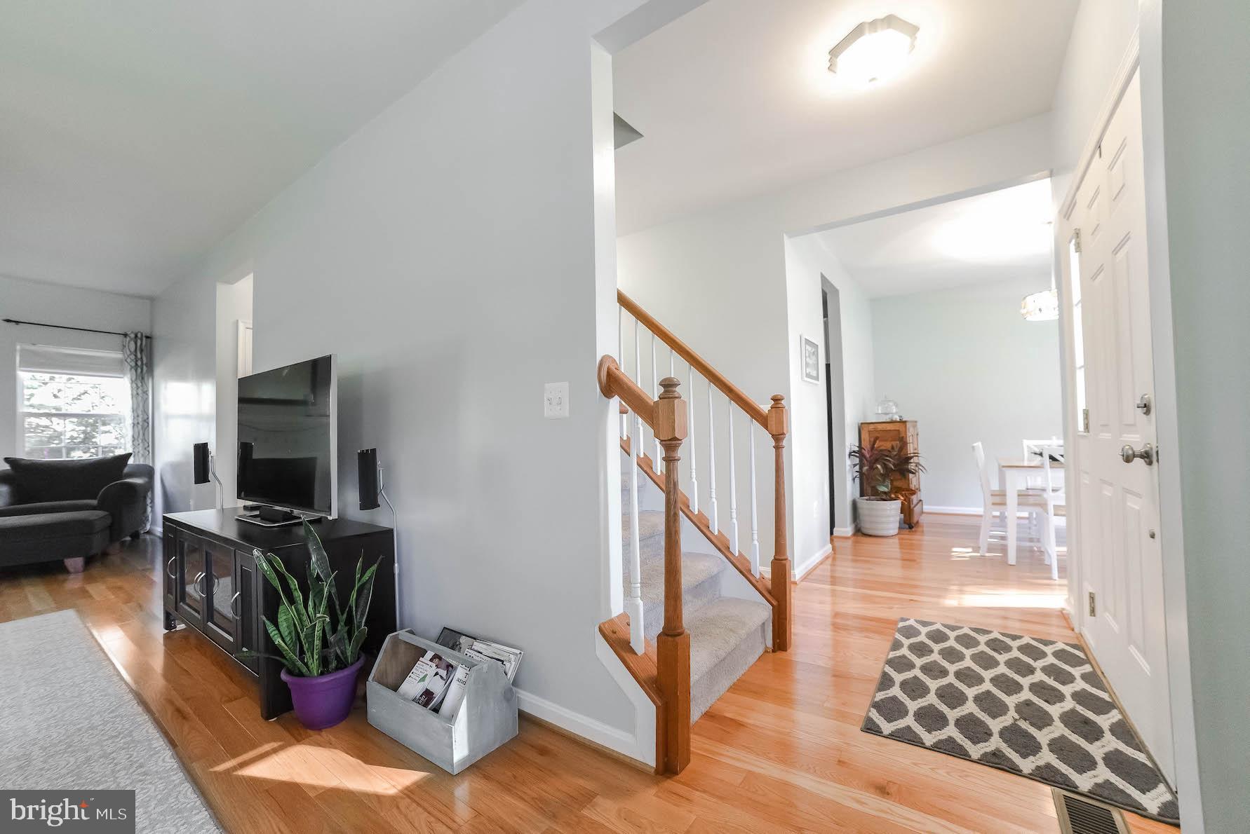 COBB ISLAND - Residential