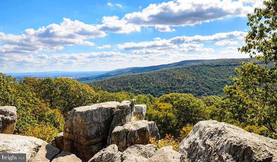 ELMWOOD FARM - Residential