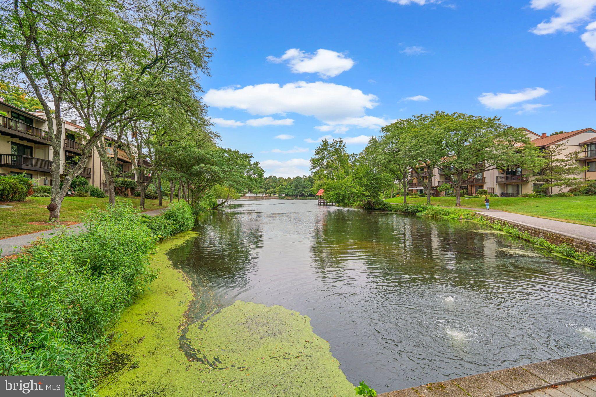 THE COVE - Residential