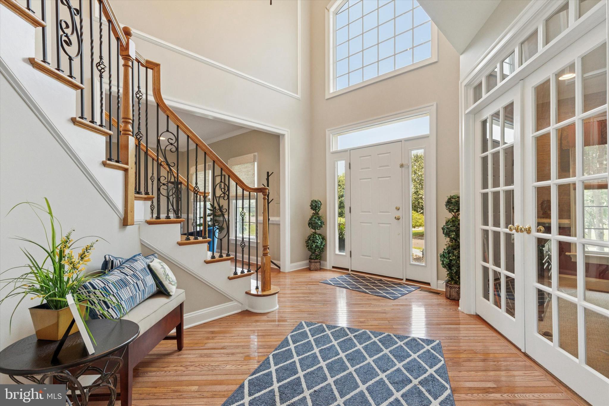 11 PAIGE TRAIL