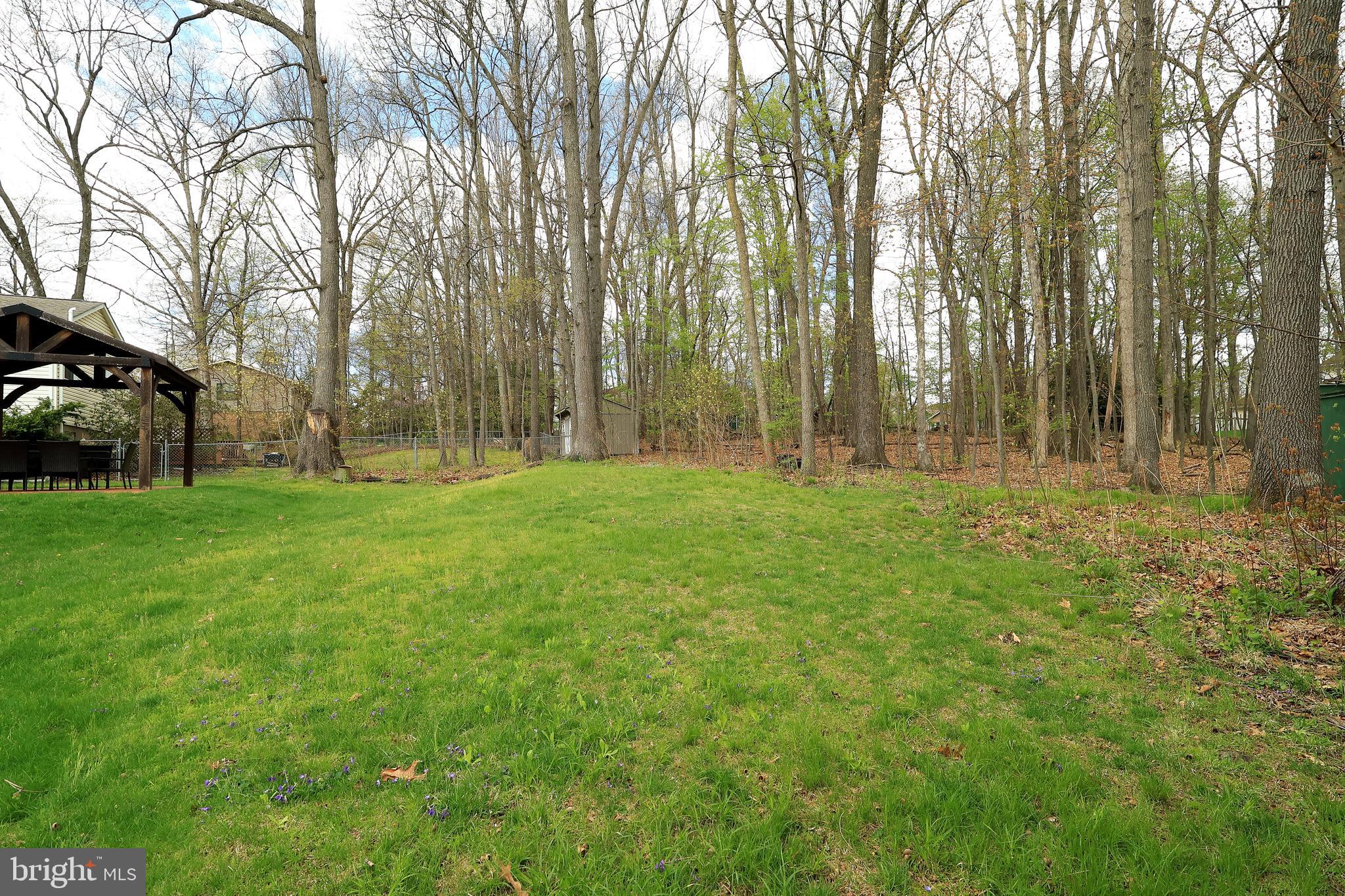 PARK FOREST VILLAGE - Residential