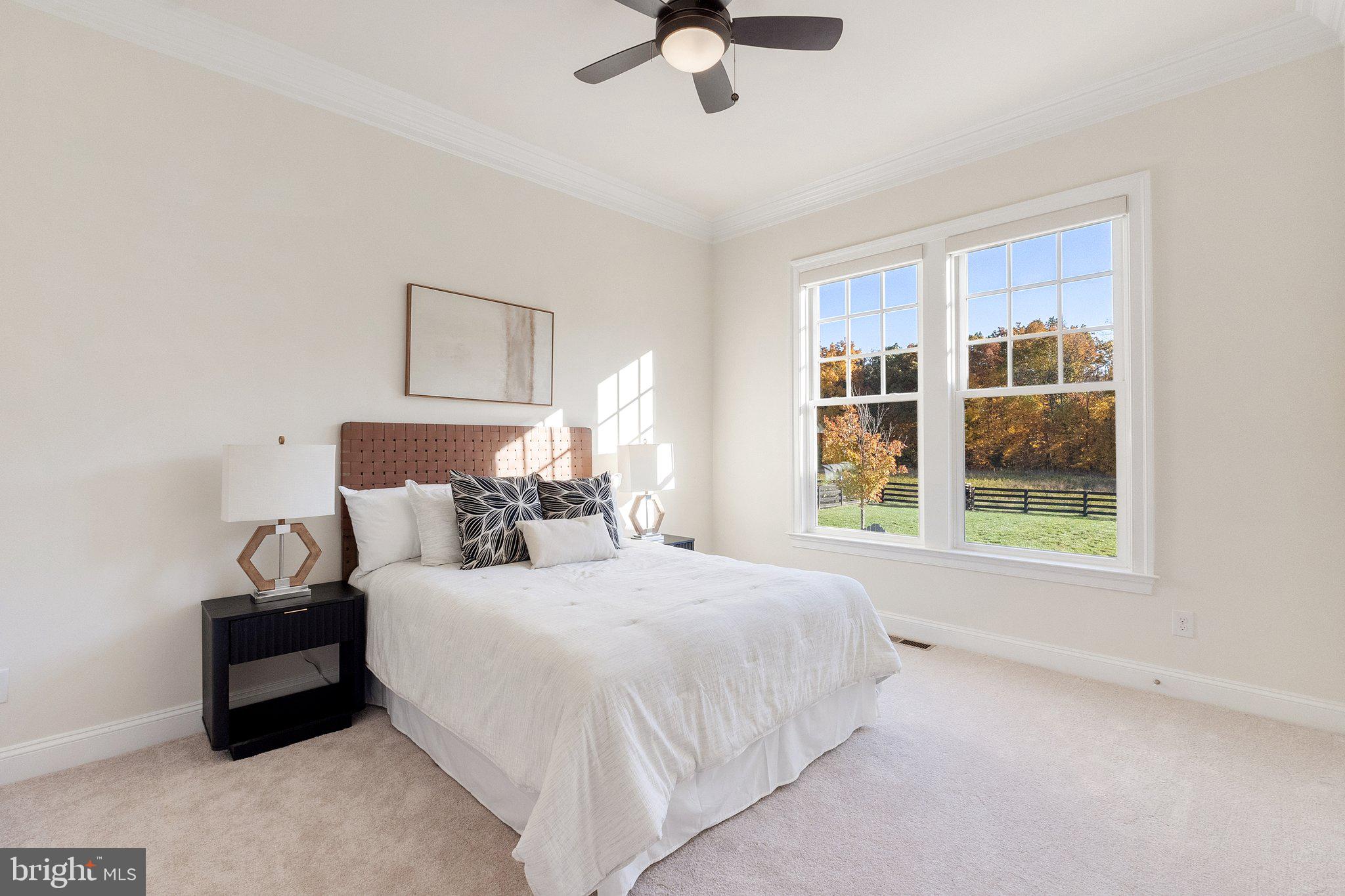 WILLOWSFORD - Residential