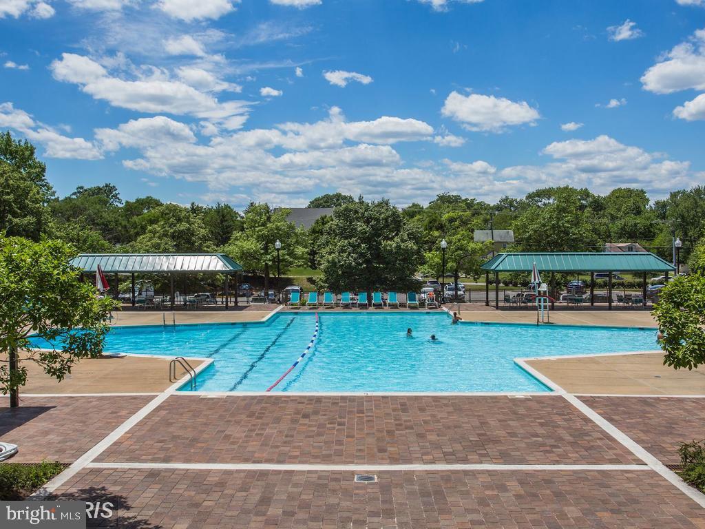 SKYLINE SQUARE CONDO - Residential Lease