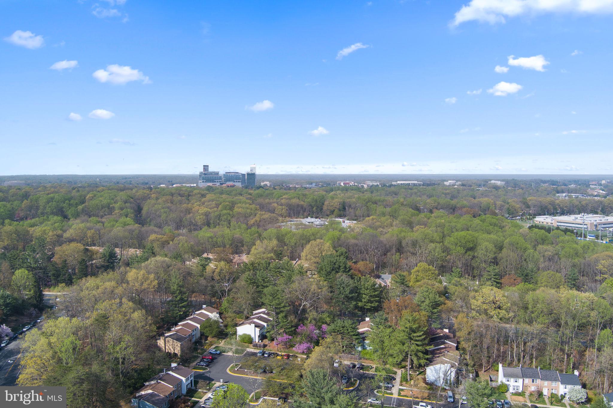 WHITNEY PARK - Residential