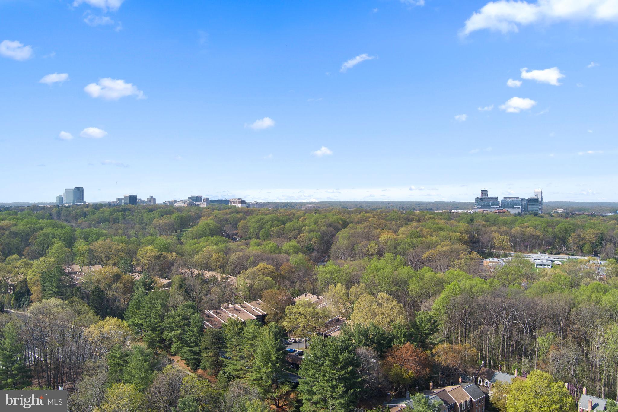 WHITNEY PARK - Residential