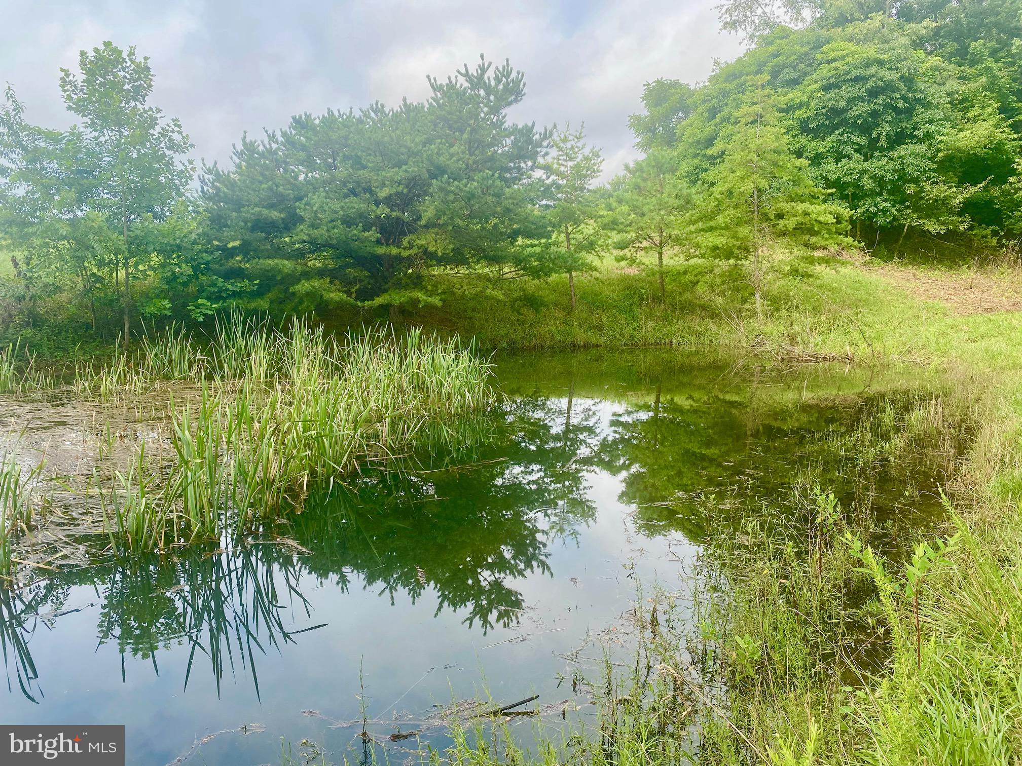 CRESCENT ORCHARDS - Residential