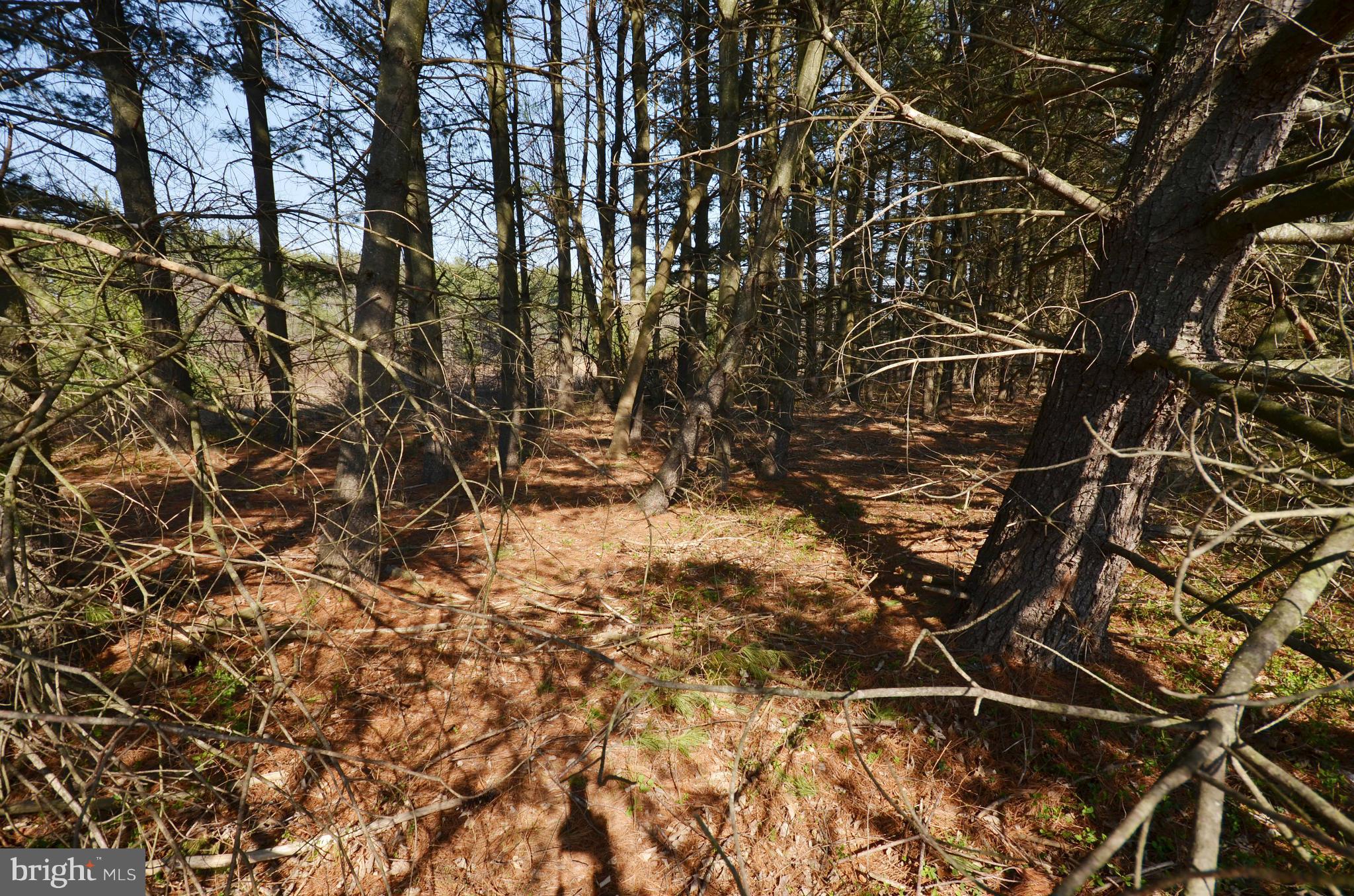 NONE AVAILABLE - Land