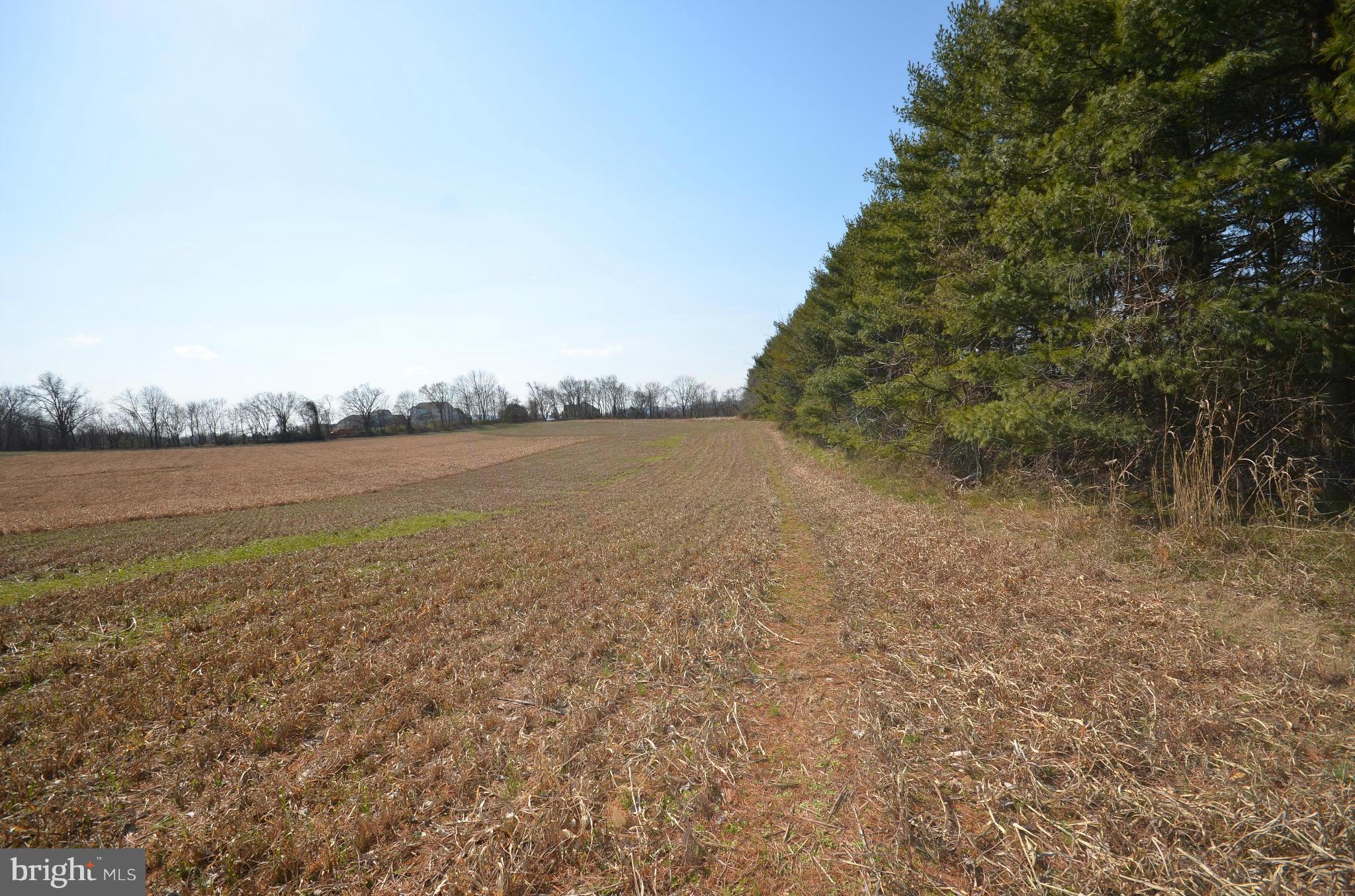 NONE AVAILABLE - Land