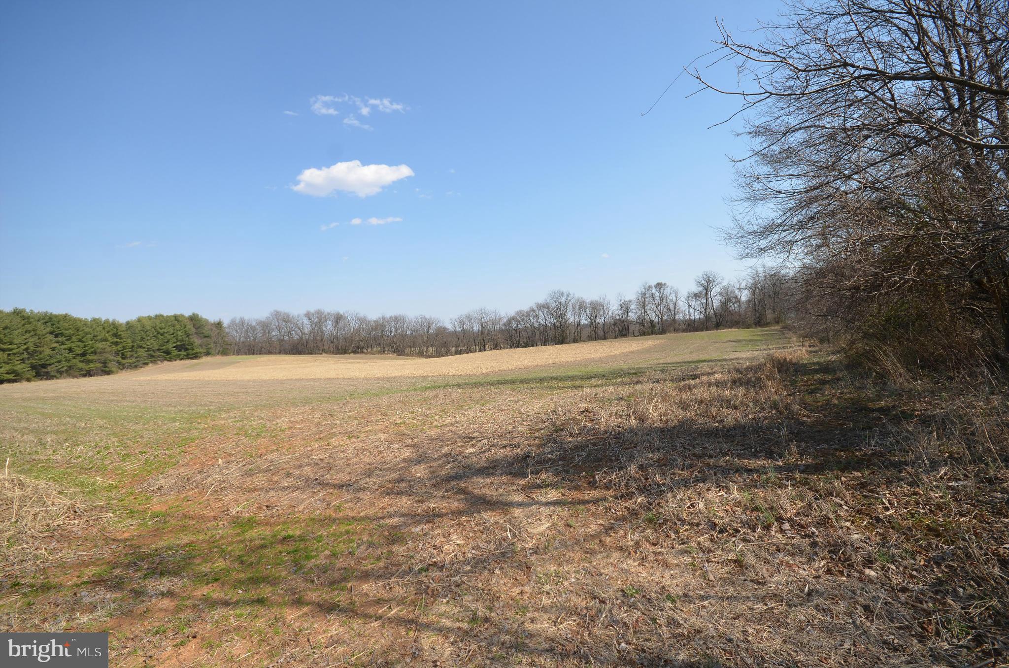 NONE AVAILABLE - Land