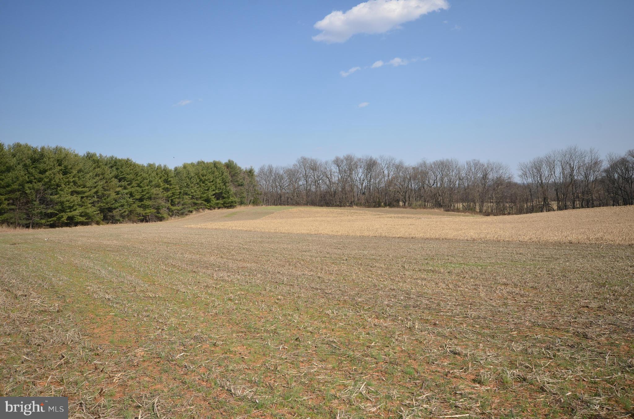 NONE AVAILABLE - Land