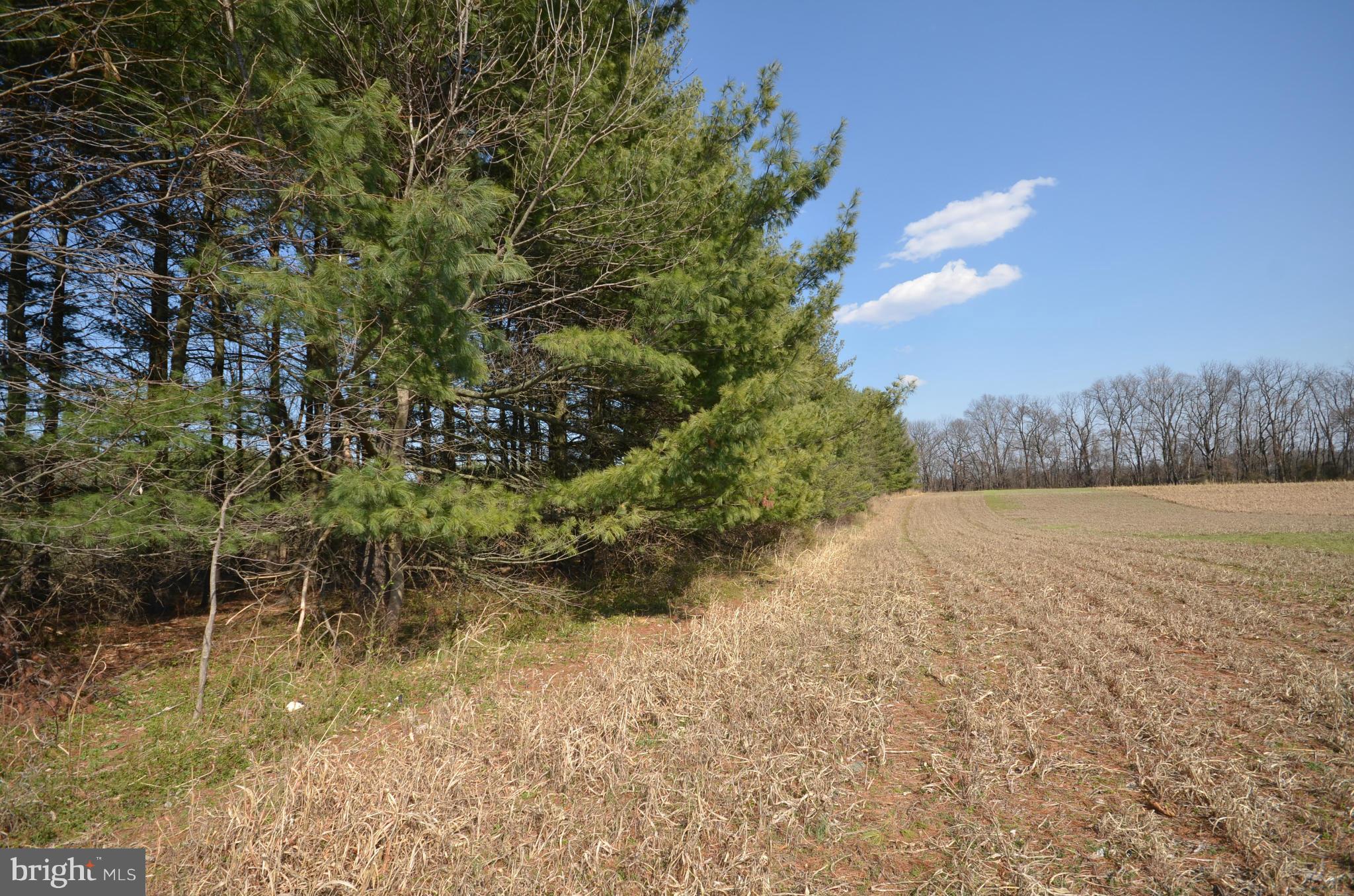 NONE AVAILABLE - Land