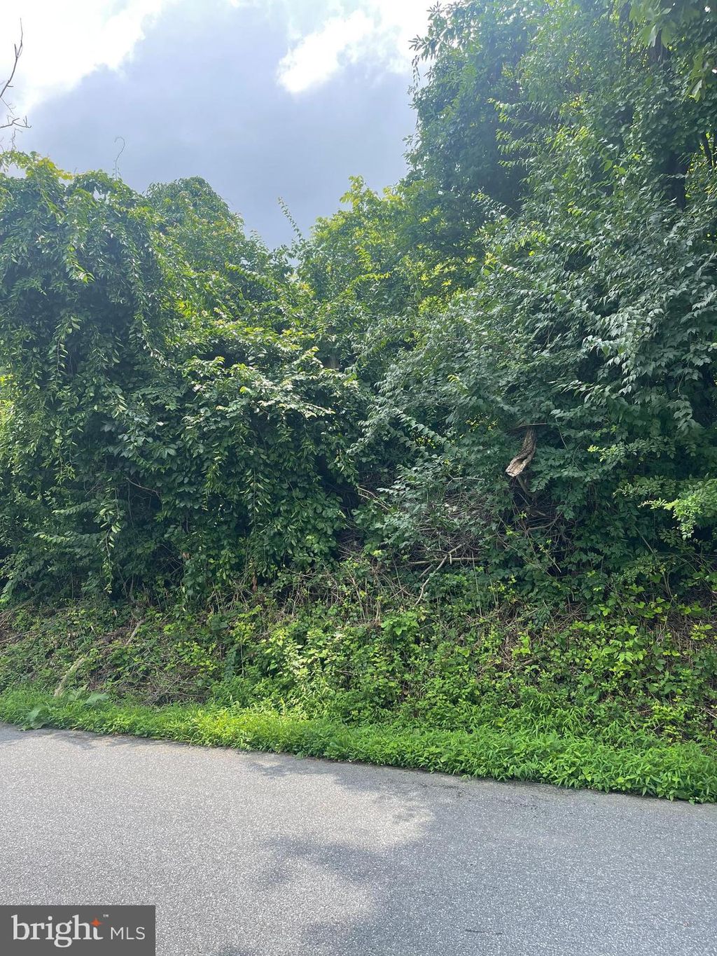 Photo of 0 PINNACLE RD W, HOLTWOOD, PA 17532 (MLS # PALA2038060)