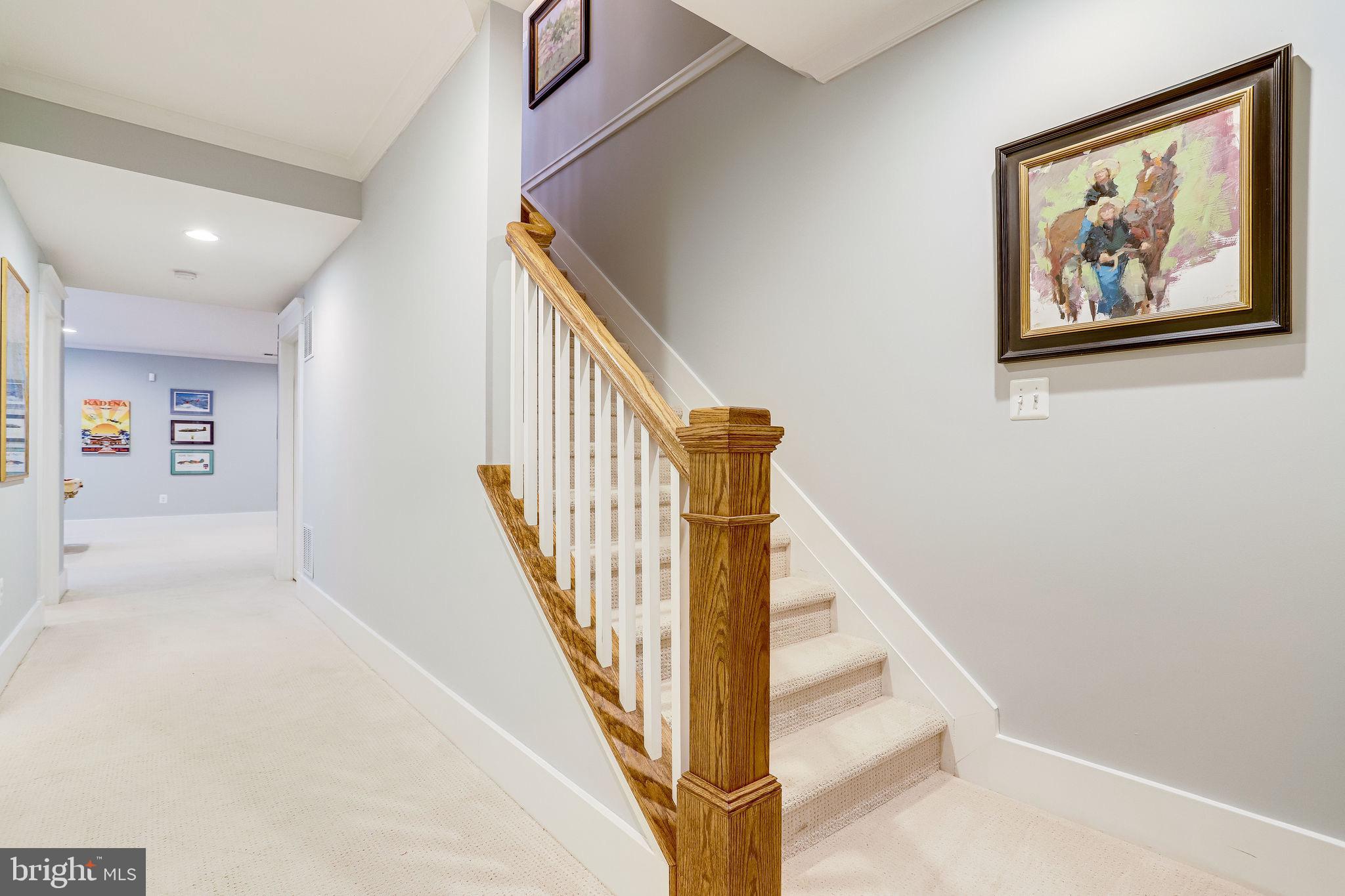 THE WILLIAMSBURG - Residential