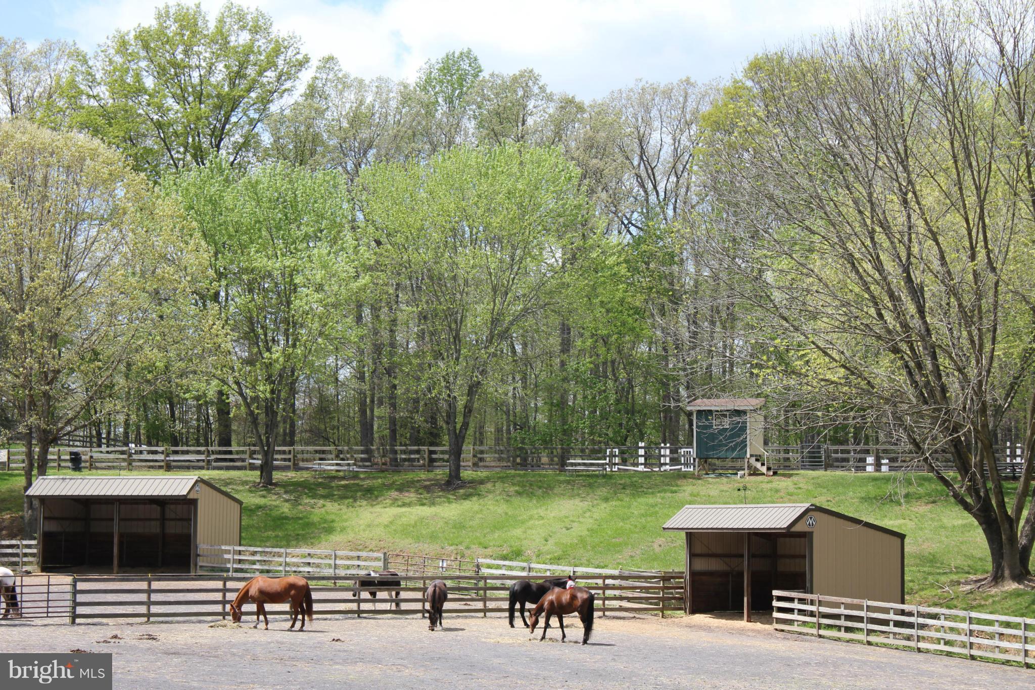 LAKE OF THE WOODS - Residential