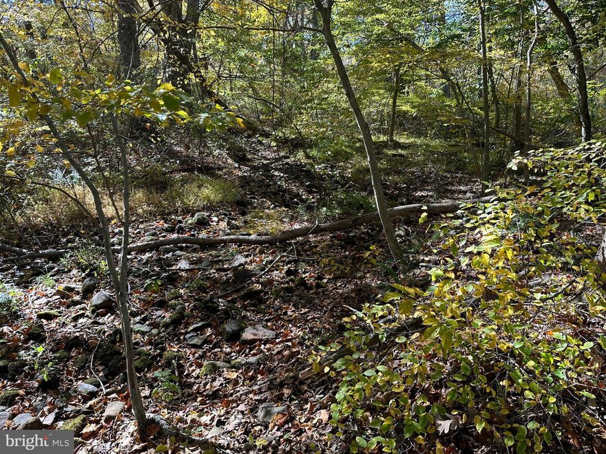 Very private level wooded lot just outside Flint Hill. A few streams on the property lends itself to multiple building sites and incorporating a stream in imaginative landscaping. Very little traffic as the road ends just past this parcel, with two homes hidden a little further up the road. Land is in land use, Seller will provide Forestry Management Plan so land use taxes may continue. PLEASE  do not enter gate at end of property. Turn around available on both side of road.