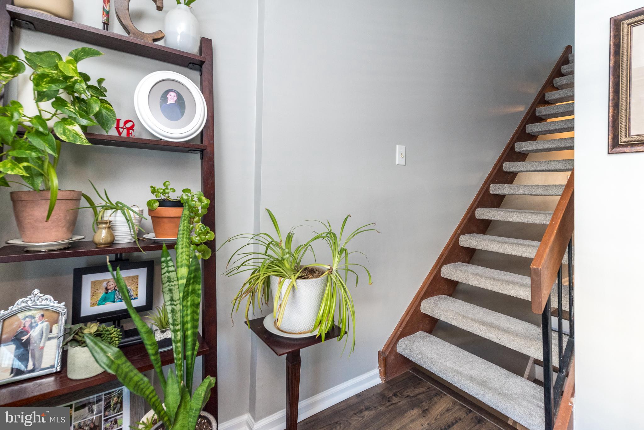 SAW MILL VALLEY - Residential Lease