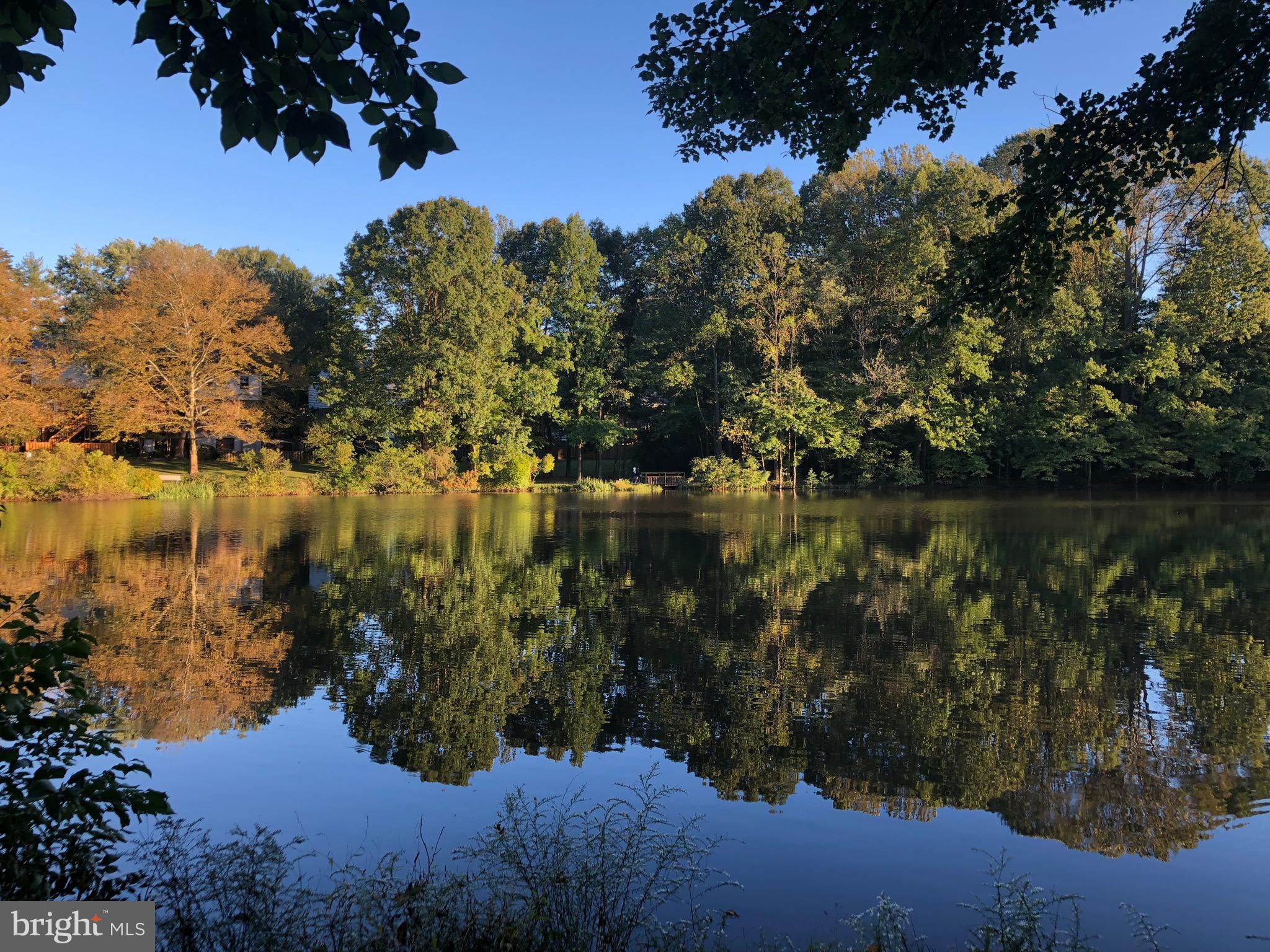 9502 WALLINGFORD DRIVE