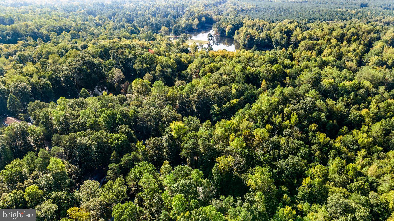 CAROLINE PINES - Residential