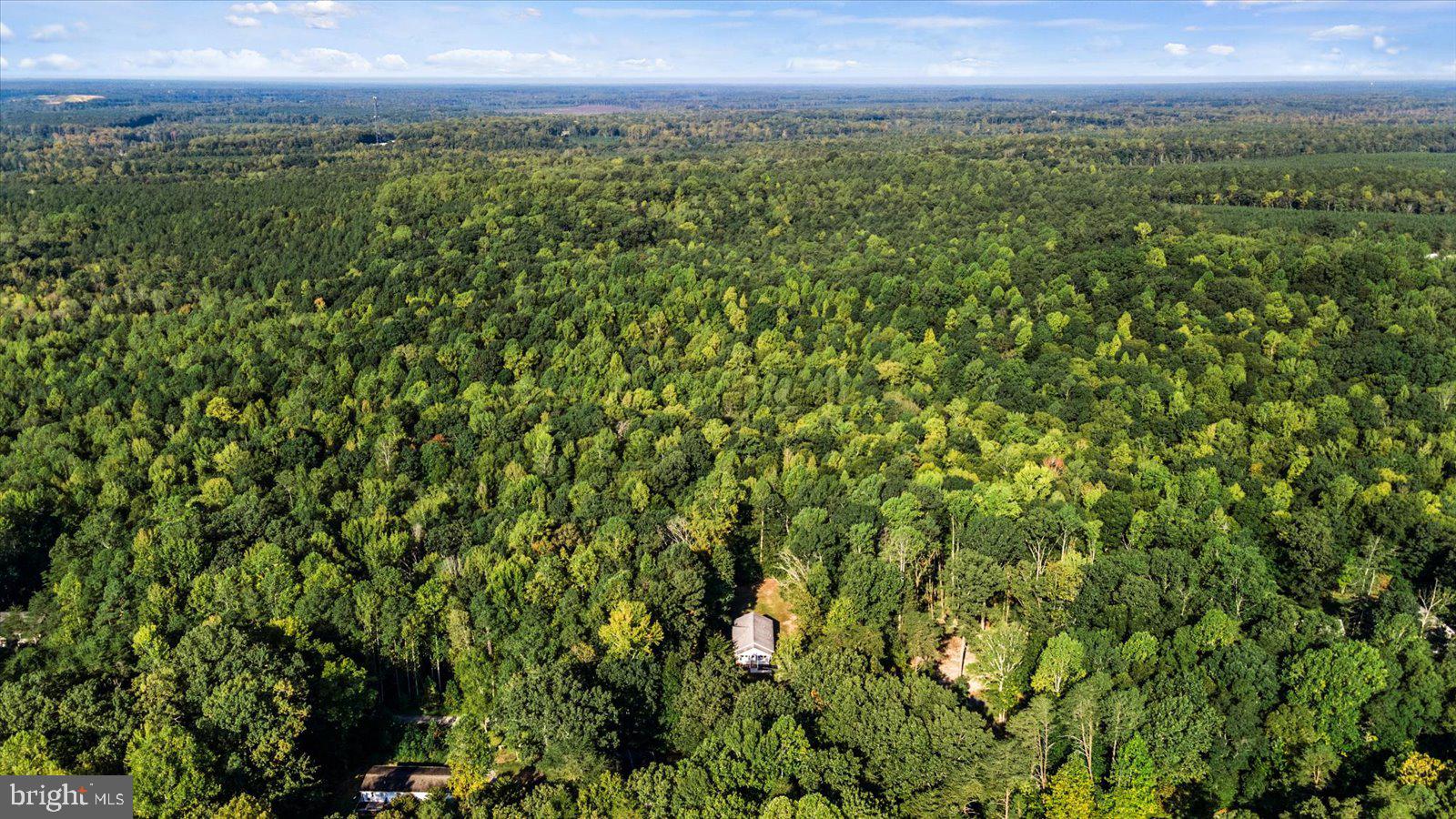 CAROLINE PINES - Residential