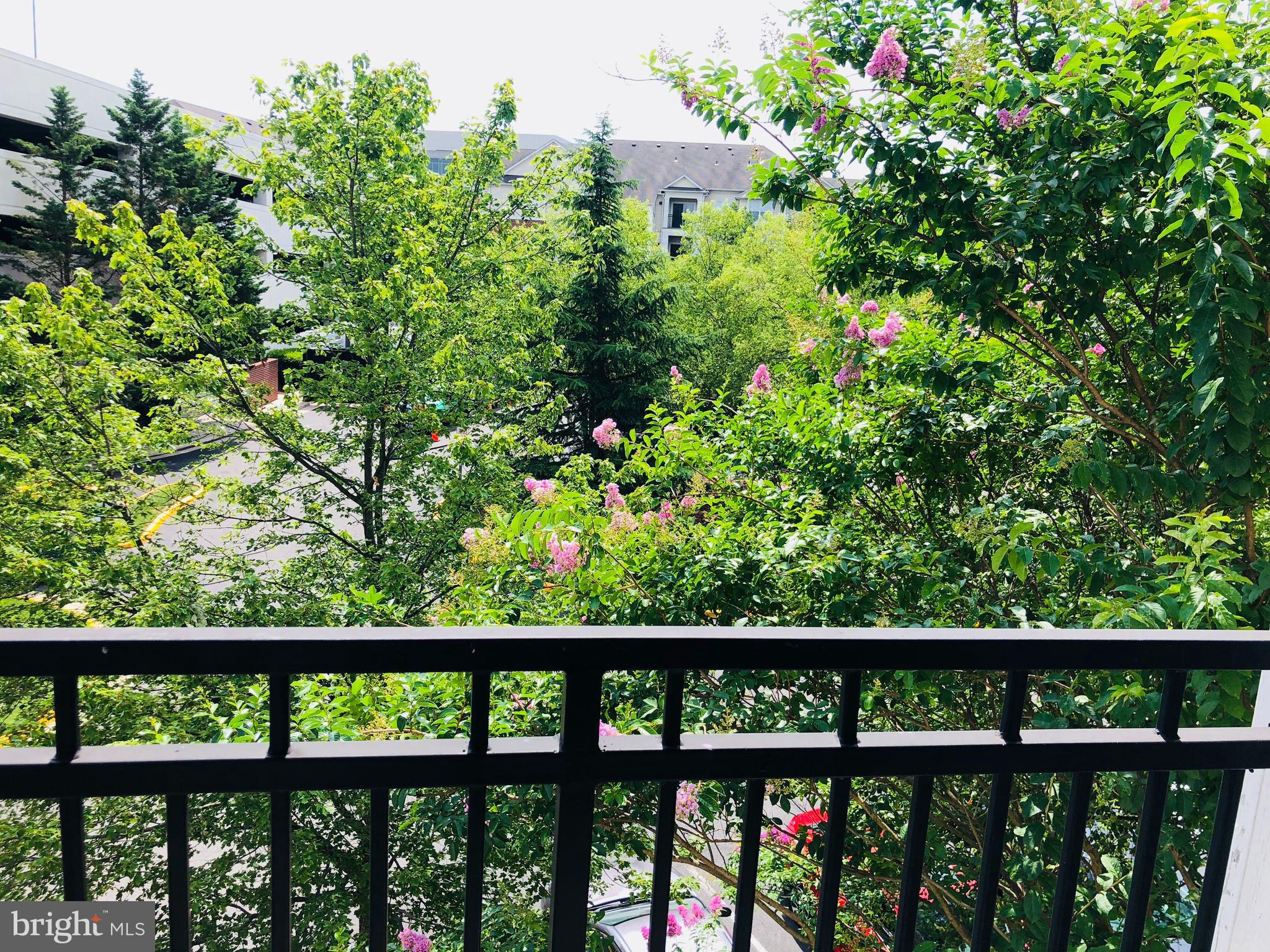 BRYSON AT WOODLAND PARK - Residential Lease