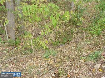 NONE AVAILABLE - Land