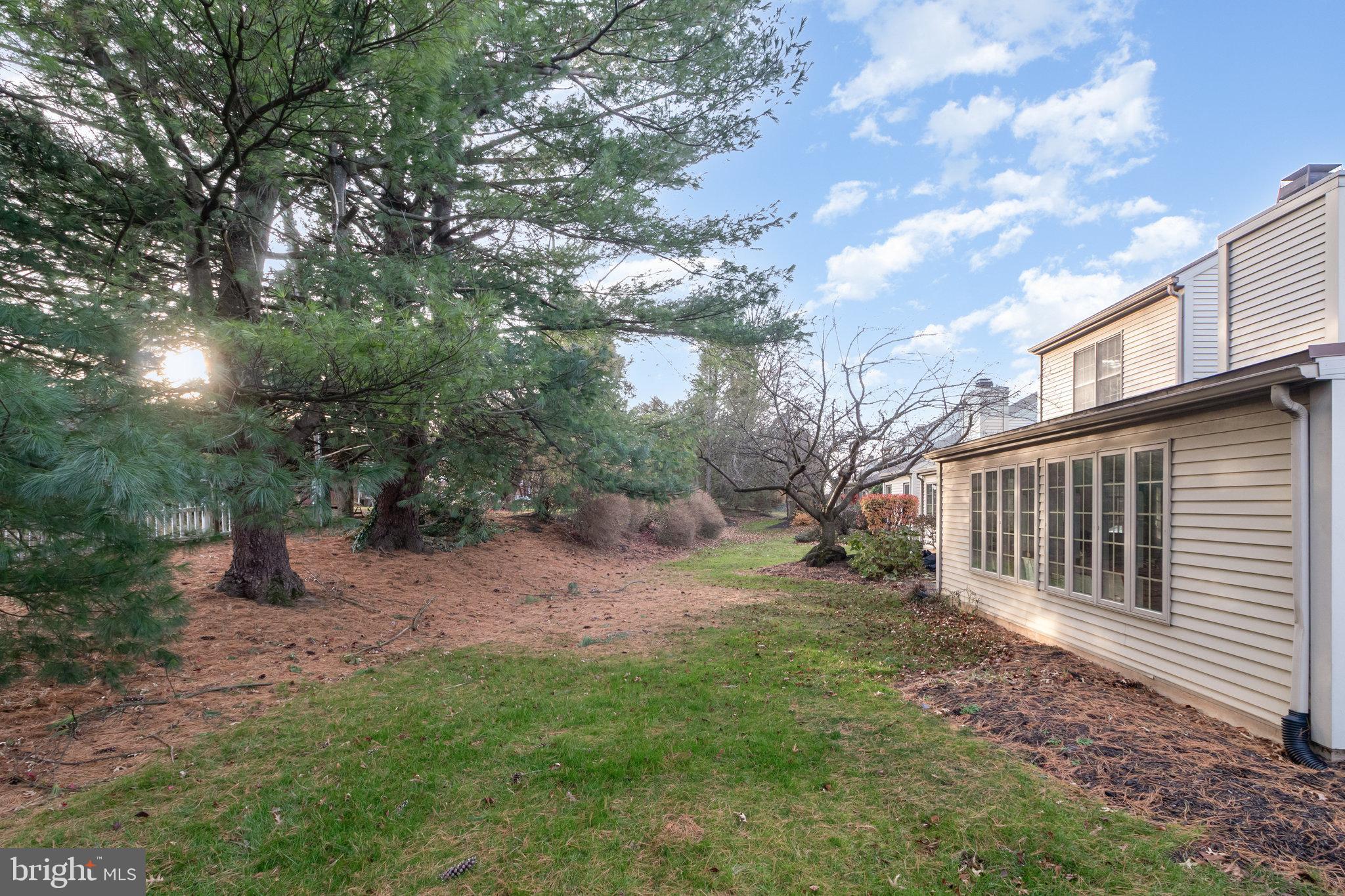 CAMBRIDGE COMMONS - Residential