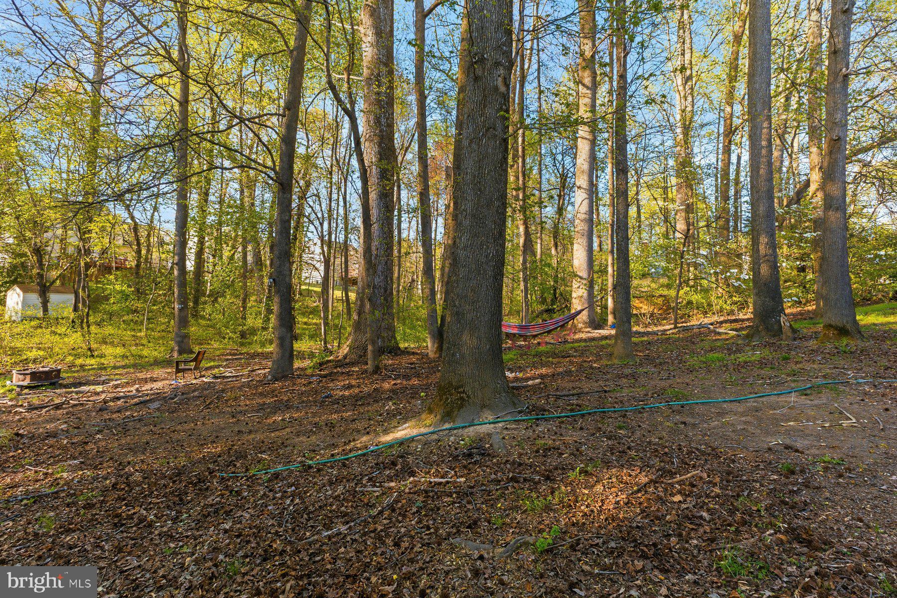 ASHFORD - Residential