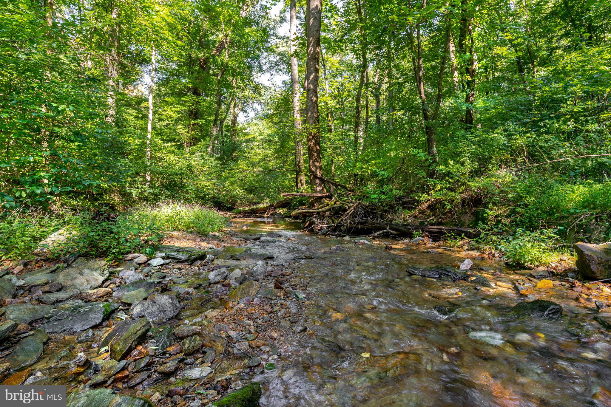 RESERVE AT UNION SCHOOL - Land